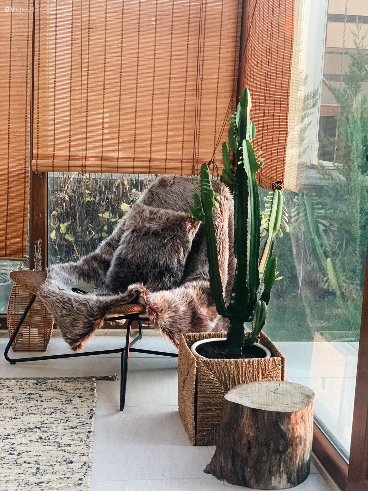 Beykoz'daki Bu Müstakil Evde Bitkilerin Boyu Tavana Kadar!