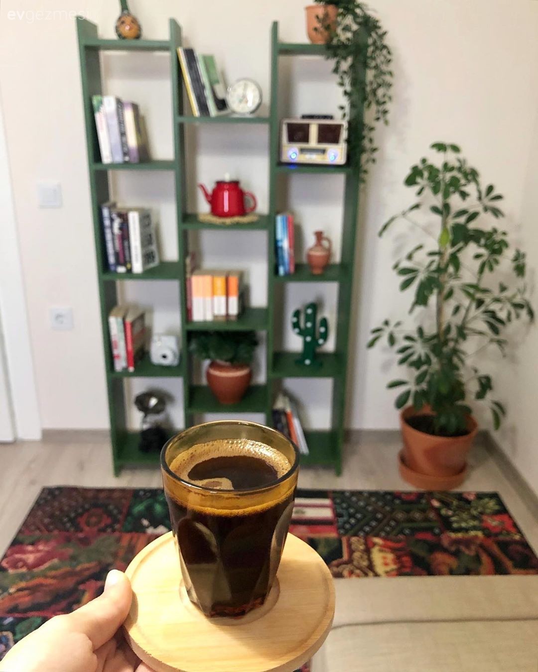 Yeşil, Ev bitkisi, Kitaplık, Karabağ Kilimi, Kırmızı