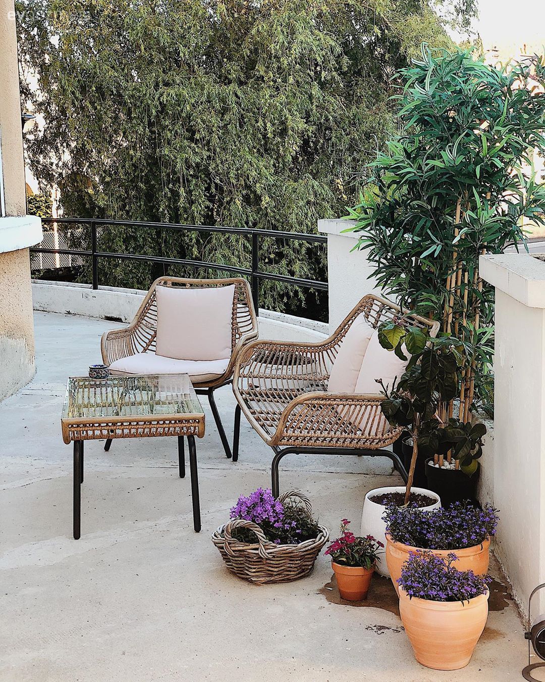 Bahçe, Bahçe oturma grubu, Sandalye, Çiçekler, Saksı