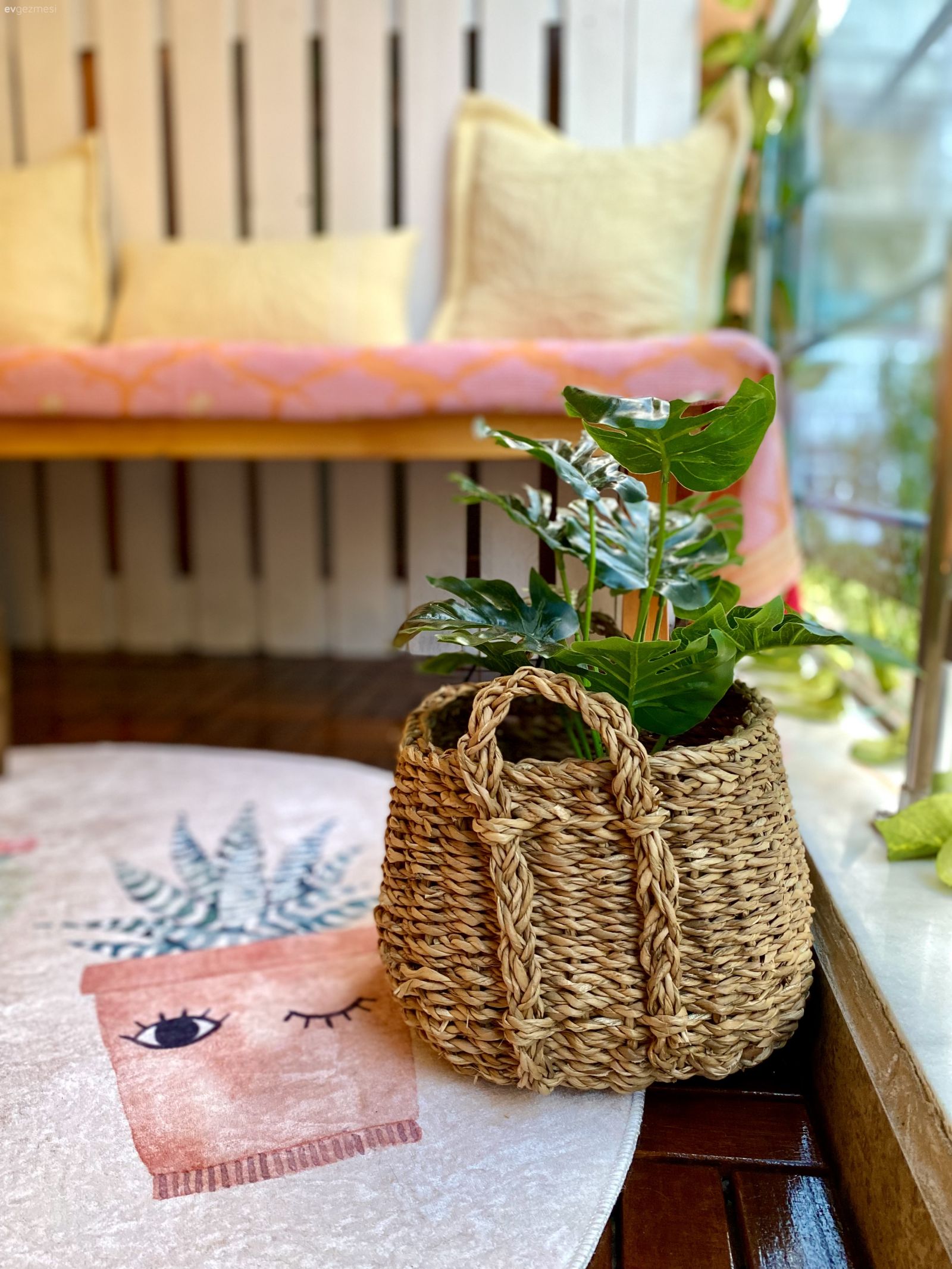 Hasır sepet, Krem, Pembe, Beyaz, Ev bitkisi