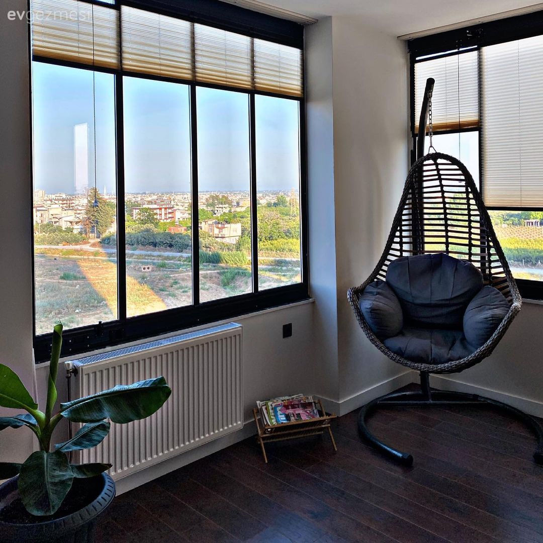 Parke, Salıncak, Ev bitkisi, Saksı