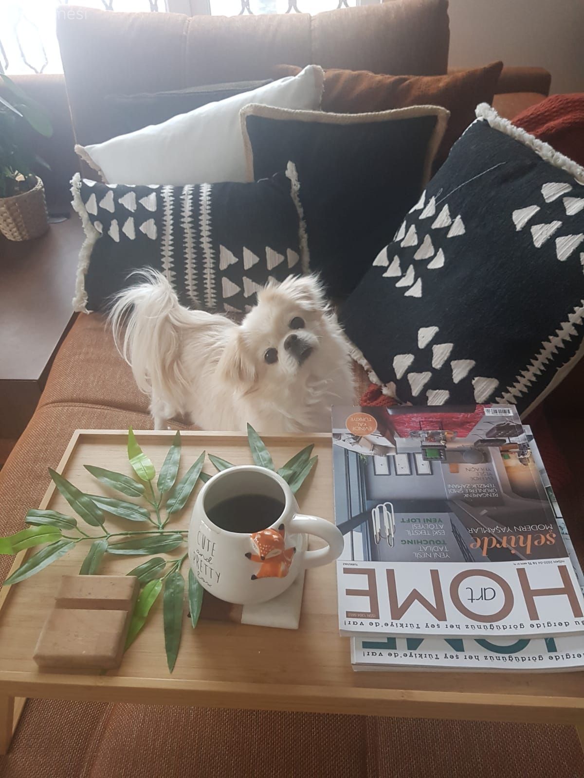 Siyah, Turuncu, Kırlent, Ev tekstili, Desenler, Yan sehpa, Sehpa