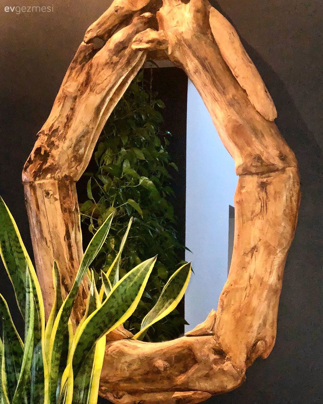 Siyah duvar, Modern rustik, Ayna