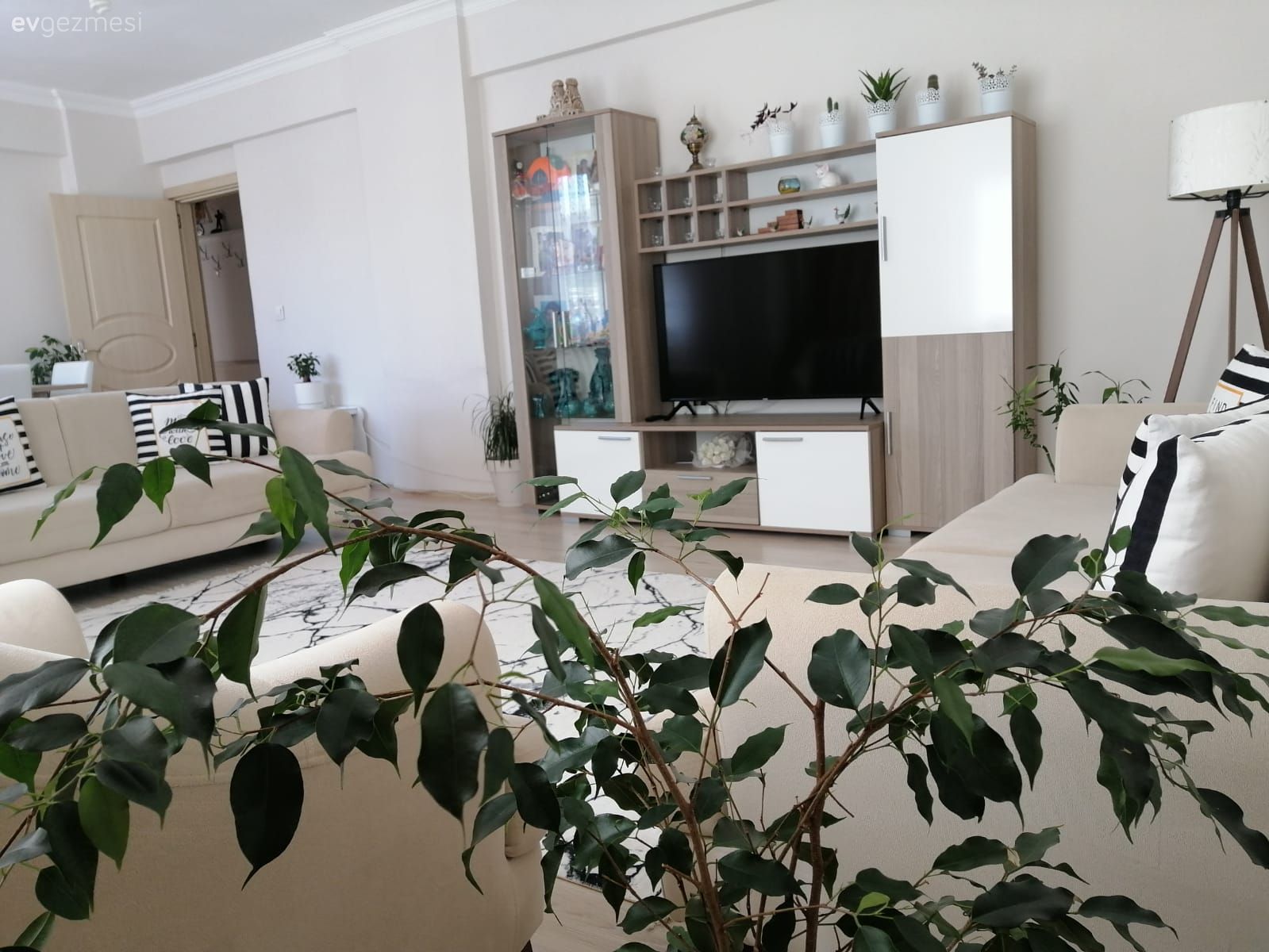 Tv ünitesi, Tv ünitesi aksesuarları, Ev Aksesuar, Beyaz, Krem, Siyah, Ev bitkisi