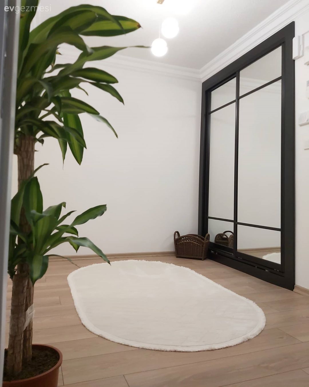 Antre, Siyah, Beyaz, Aynalı mobilya, Ayna, Ayna kapaklı vestiyer, Sarkıt, Aydınlatma, Ev bitkisi, Oval halı, Halı, Hasır sepet, Laminant parke, Parke