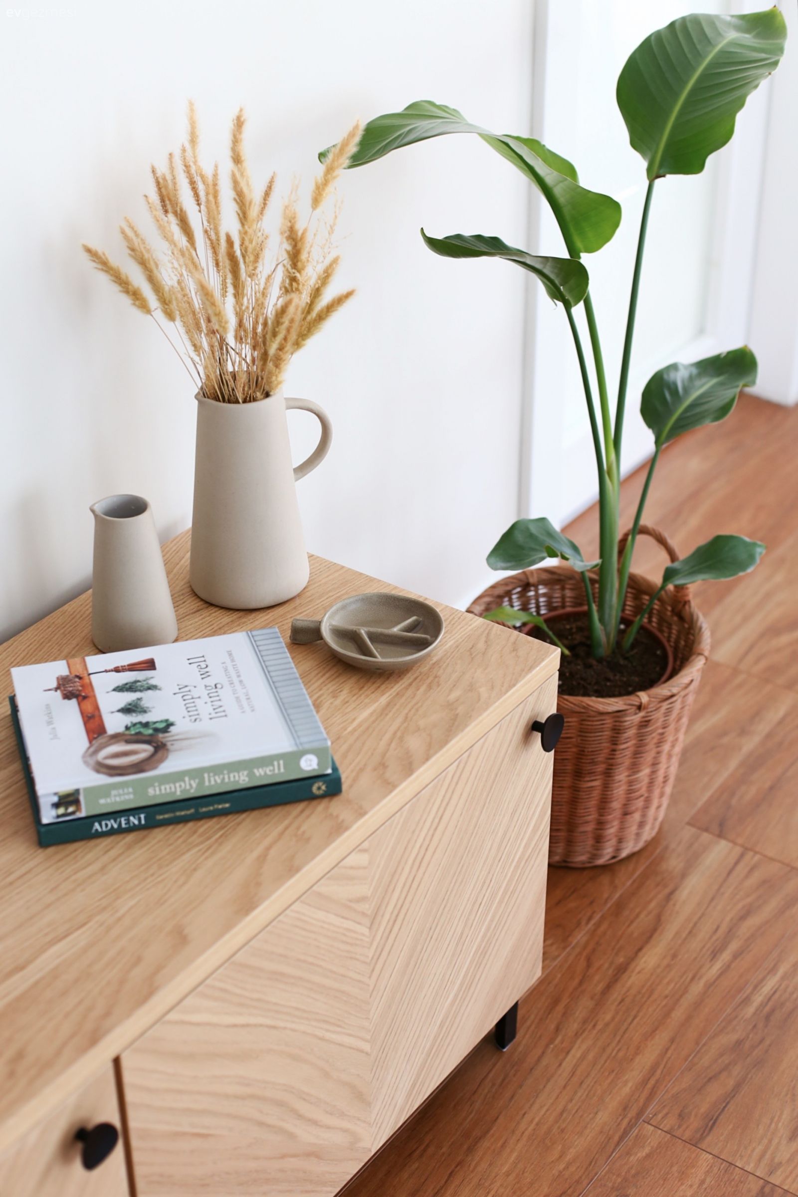 Parke, Ev bitkisi, Saksı, Vazo, Ev Aksesuar