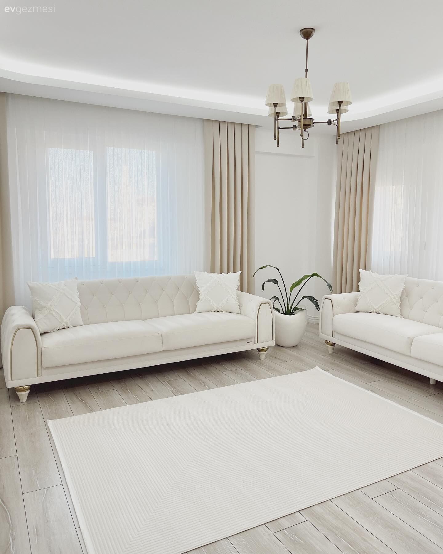 Salon, Modern, Beyaz, Krem, Koltuk takımı, Bej, Fon perde, Perde, Tül perde, Halı, Salon halısı, Avize, Aydınlatma, Salon avizesi, Saksı, Ev bitkisi, Kırlent, Ev tekstili, Dekoratif Objeler