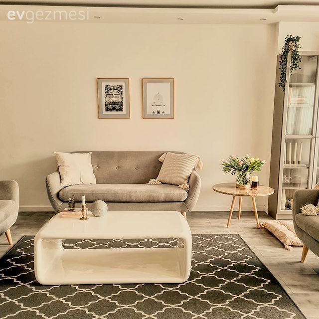 Salon, İskandinav, Gri, Beyaz, Koltuk takımı, Orta sehpa, Sehpa, Halı, Salon halısı, Çerçeve, Berjer, Vitrin, Ev bitkisi, Kırlent, Ev tekstili