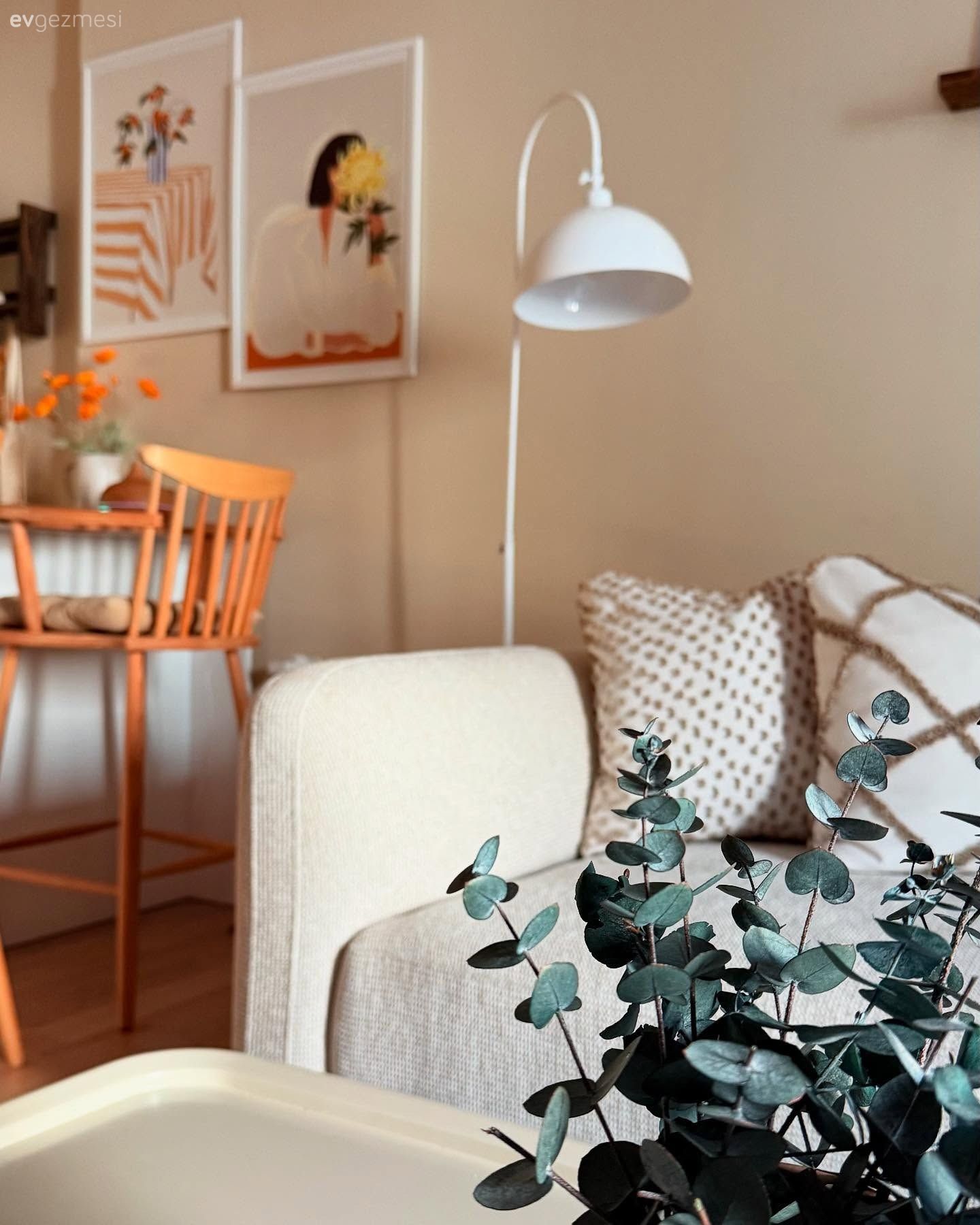 Beyaz, Krem, Bej, Ev bitkisi, Mutfak sandalyesi, Mutfak aksesuarları, Amerikan Mutfak, Dekoratif Objeler