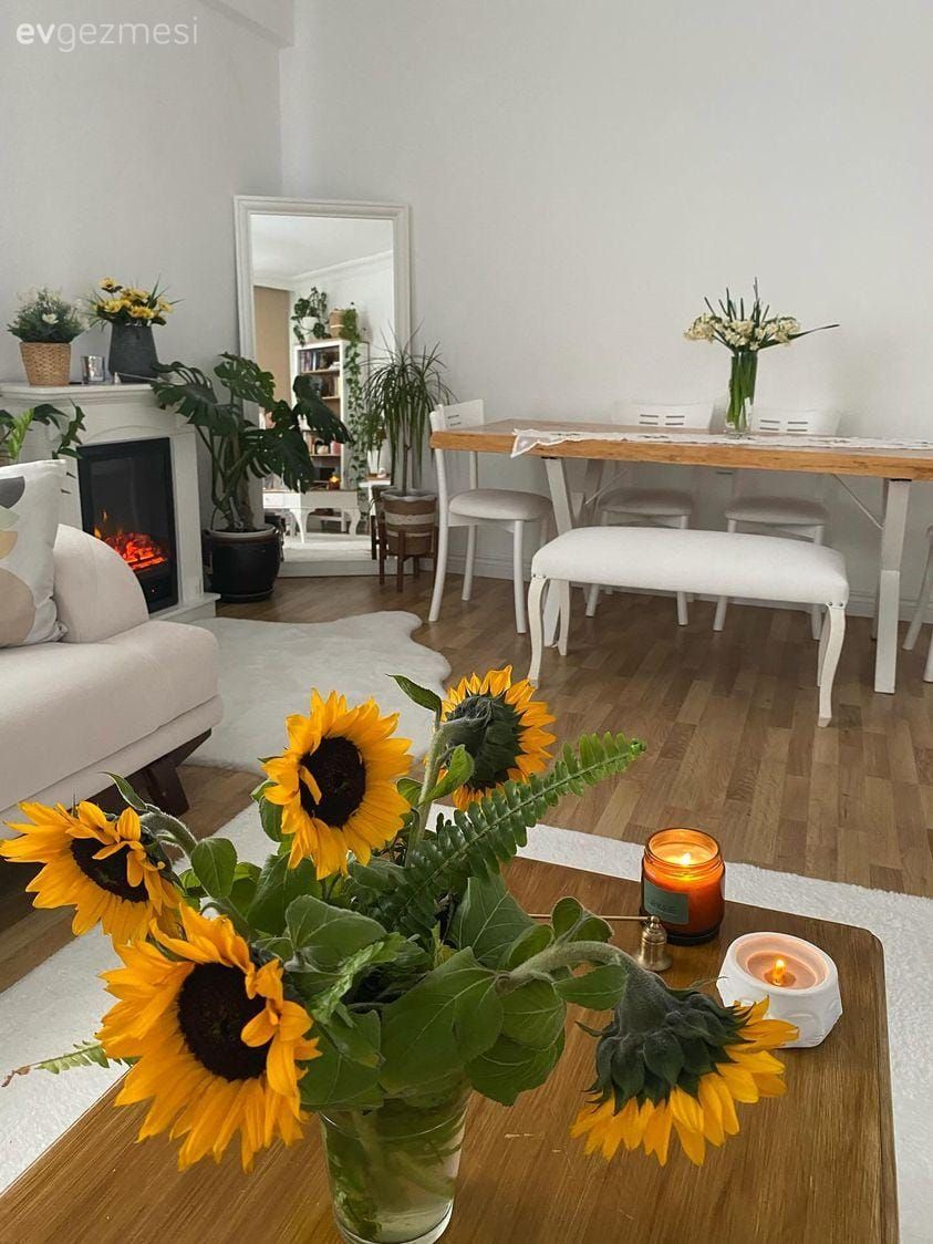 Salon, Bohem Dekorasyon, Beyaz, Krem, Fon perde, Perde, Tül perde, Koltuk takımı, Halı, Beyaz halı, Yemek masası, Sandalye, Ev bitkisi, Parke, Orta sehpa, Sehpa