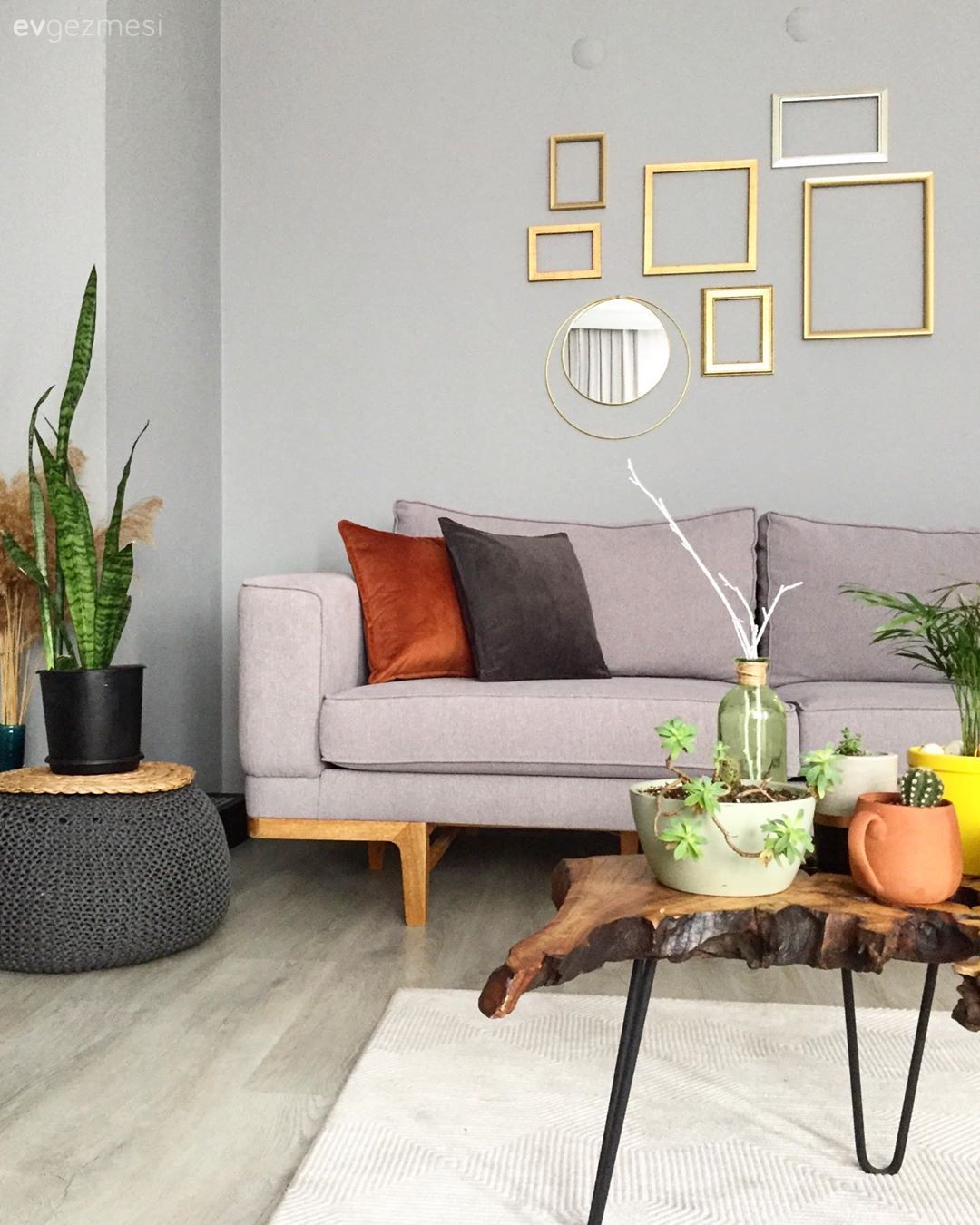 Salon, Koltuk takımı, Modern, Gri, Turuncu, Duvar dekorasyonu, Ev bitkisi, Orta sehpa, Sehpa, Halı, Kırlent, Ev tekstili, Saksı, Sehpa üstü aksesuarı, Ev Aksesuar