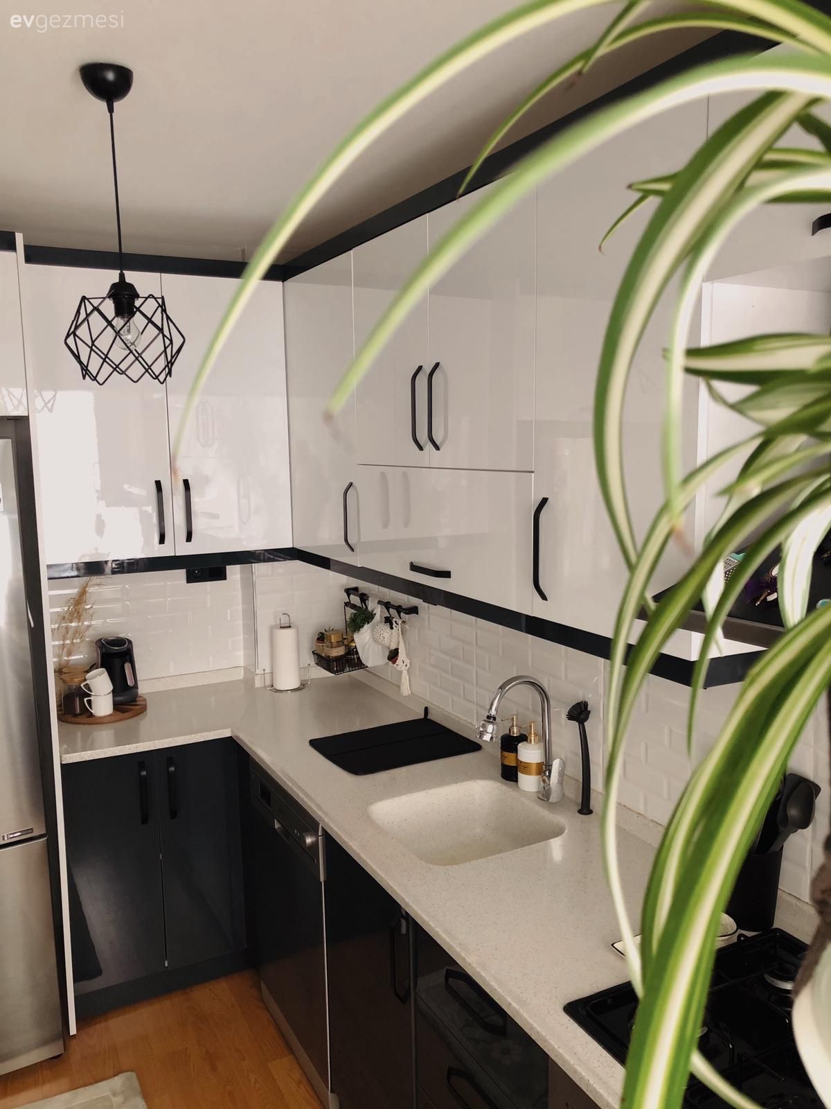 Mutfak, Beyaz, Siyah, Modern mutfak, Mutfak tezgahı, Mutfak tezgah arası, Mutfak Avize Modelleri, Ev bitkisi