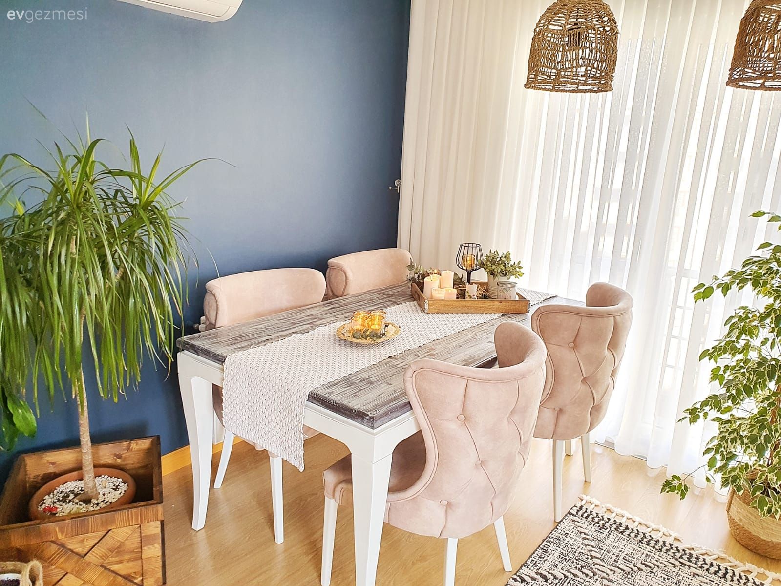 Mavi duvar, Sandalye, Yemek masası, Krem, Bej, Beyaz, Tül perde, Perde, Ev bitkisi, Saksı, Halı