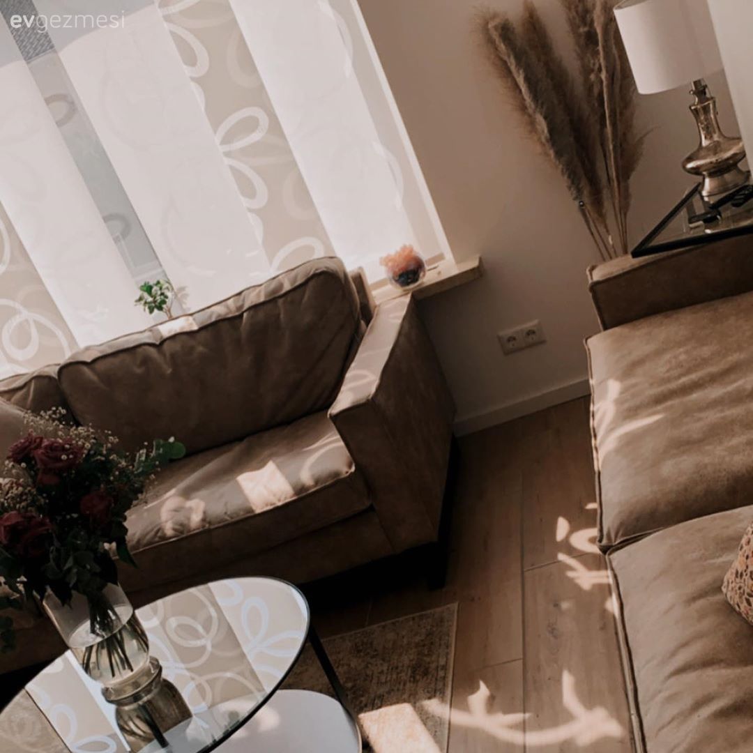 Salon, Modern rustik, Vizon, Siyah, Beyaz, Koltuk takımı, Fon perde, Perde, Orta sehpa, Sehpa, Parke, Cam orta sehpa, Vazo, Ev Aksesuar, Pampas otu