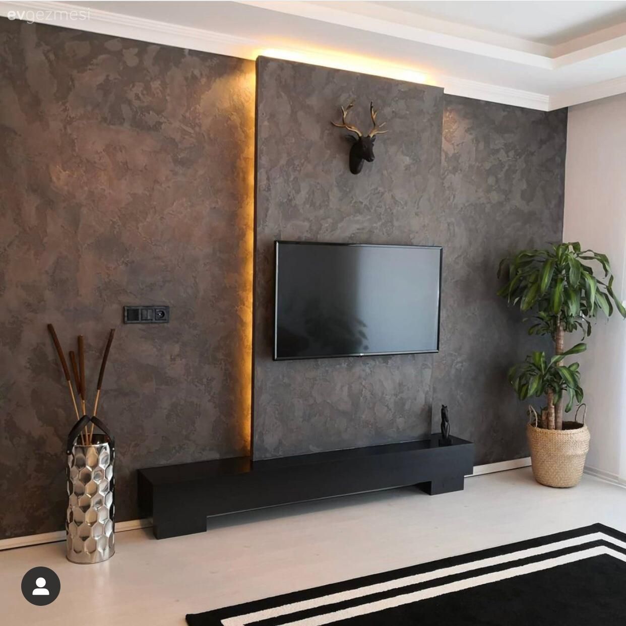 Vazo, Ev Aksesuar, Ev bitkisi, Saksı, Siyah duvar, Led aydınlatma, Aydınlatma