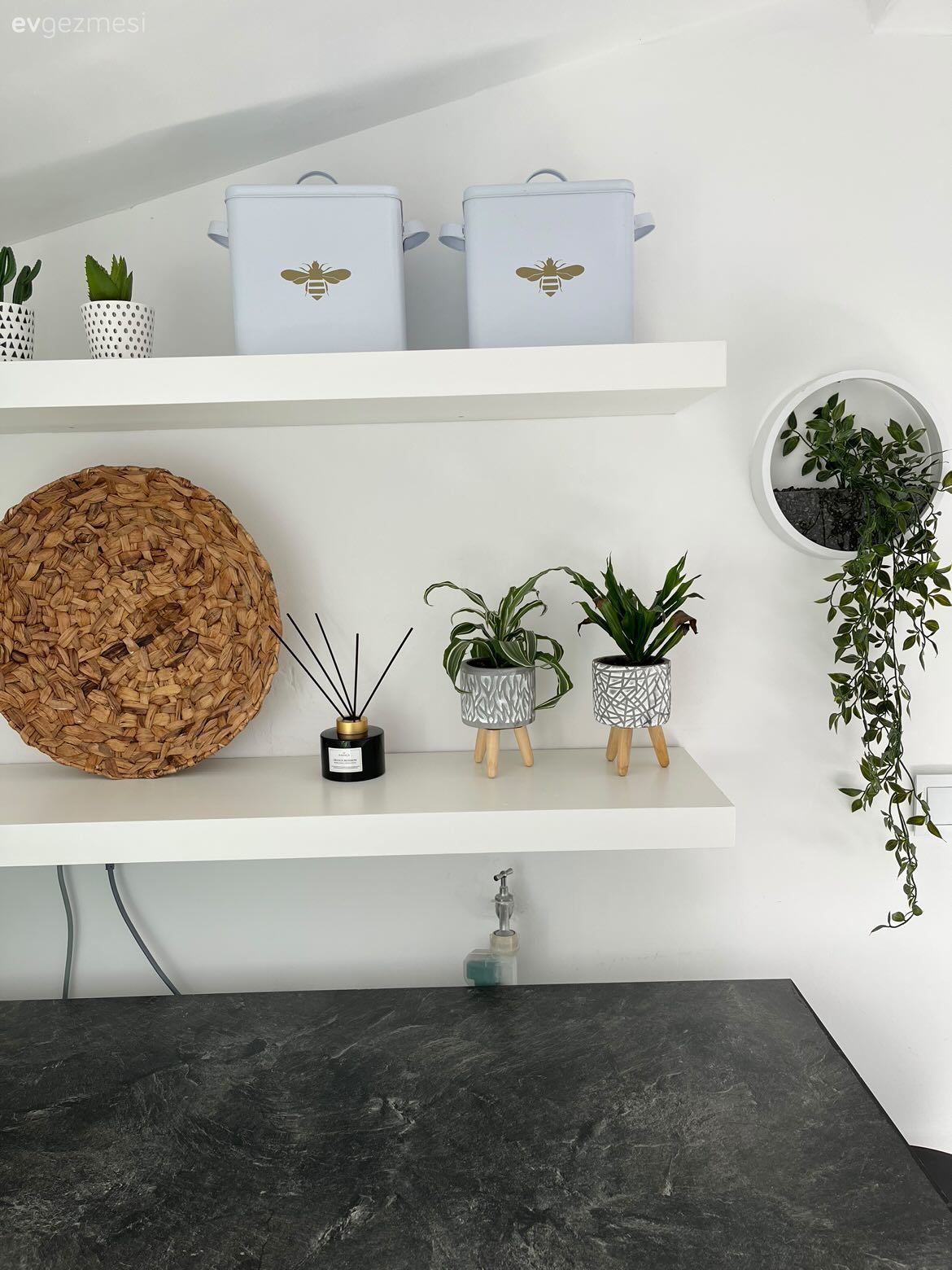 Duvar rafı, Duvar dekorasyonu, Ev bitkisi, Siyah, Beyaz