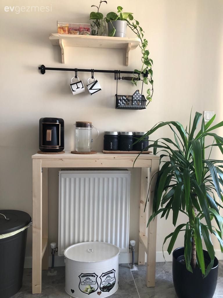 Mutfak rafı, Mutfak, Ev bitkisi, Duvar rafı, Duvar dekorasyonu