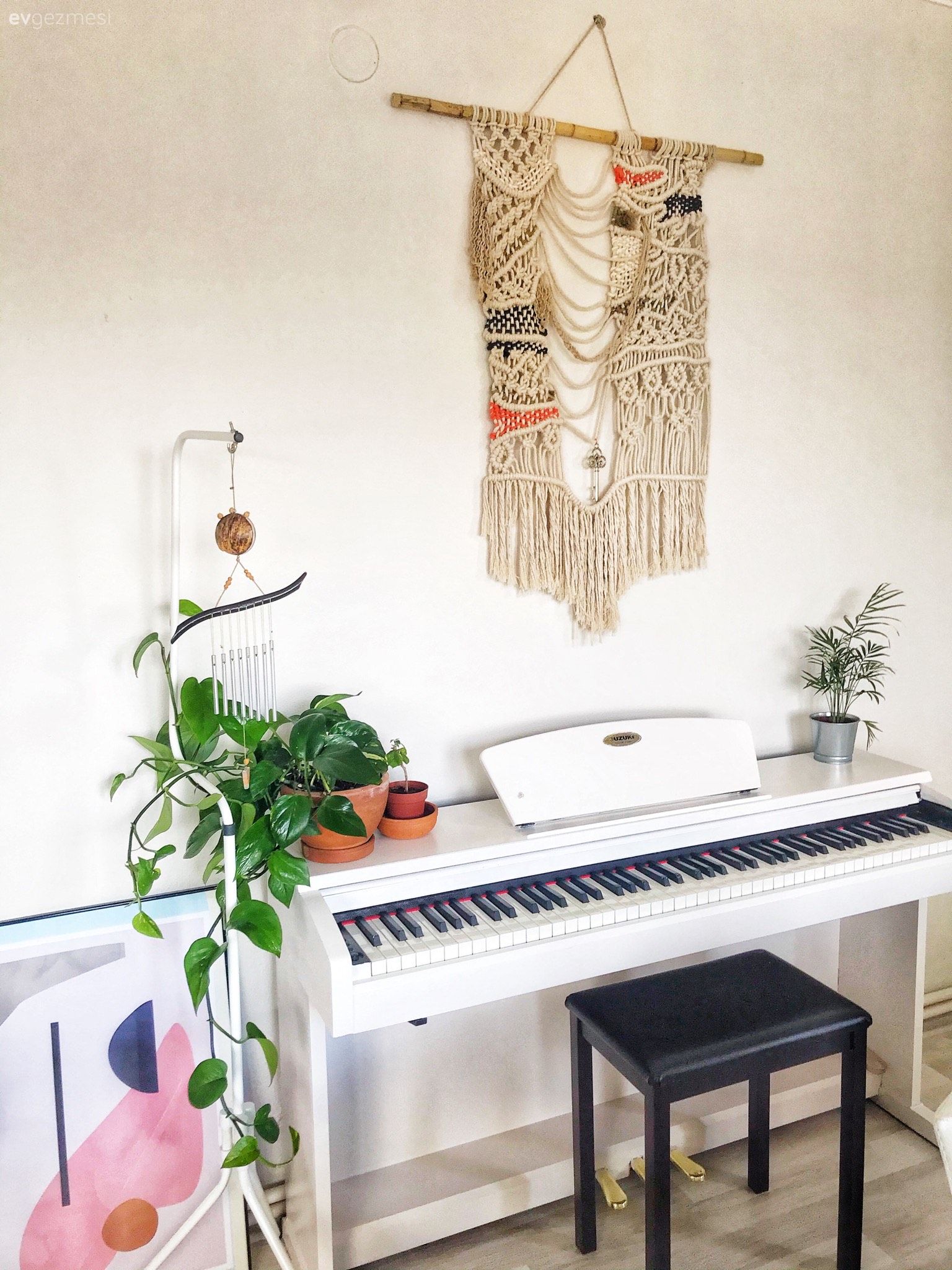 Piyano, Beyaz, Siyah, Ev bitkisi, Makrome