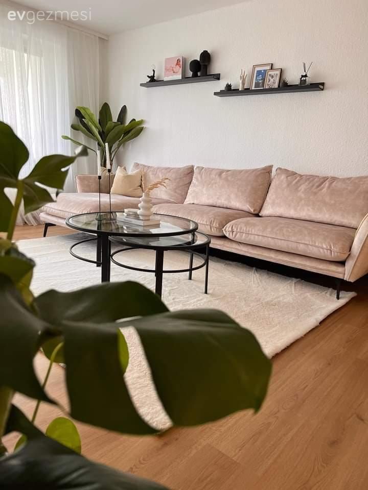 Salon, Modern, Beyaz, Bej, Siyah, Köşe koltuk, Koltuk takımı, Berjer, Duvar rafı, Duvar dekorasyonu, Orta sehpa, Sehpa, Ev bitkisi, Parke, Halı, Salon halısı, Tül perde, Perde, Dekoratif Objeler, Yan sehpa, Cam orta sehpa