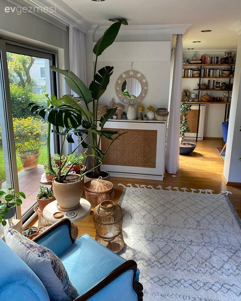 Hasır, Ev bitkisi, Duvar dekorasyonu, Berjer, Mavi, Halı, Salon halısı, Yan sehpa, Sehpa, Saksı