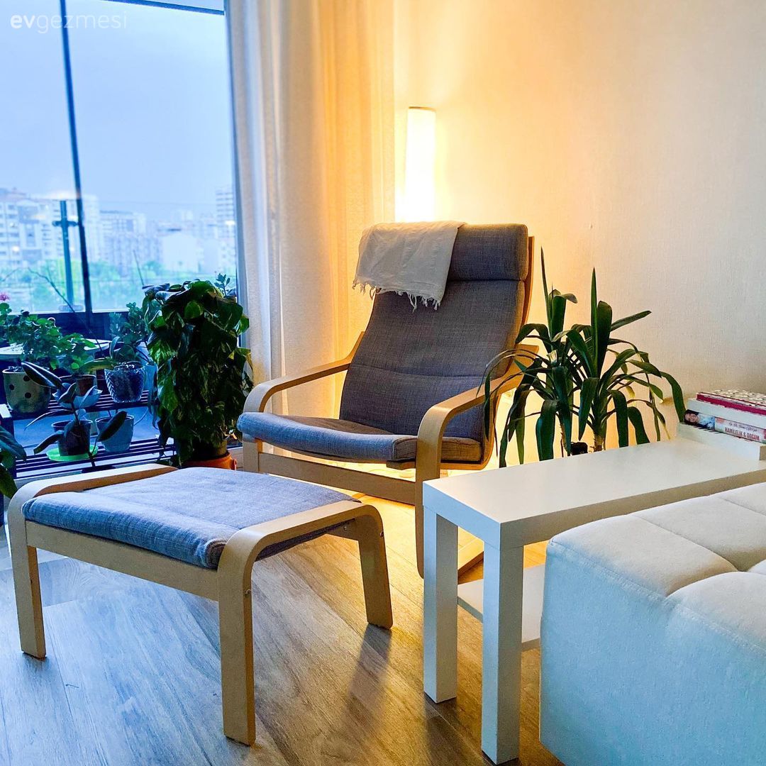 Parke, Sandalye, Sehpa, Ev bitkisi