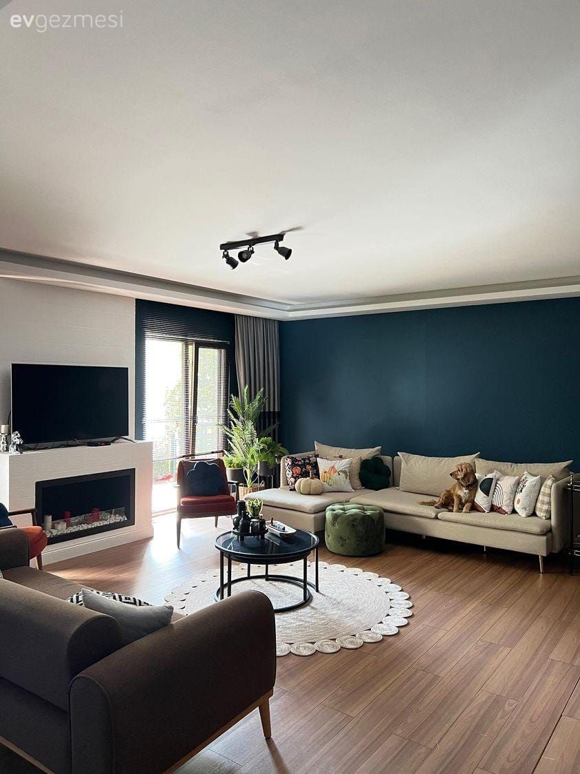 Salon, Modern, Koltuk takımı, Bej, Gri, Antrasit  , Siyah, Beyaz, Mavi duvar, Köşe koltuk, Tv ünitesi aksesuarları, Ev Aksesuar, Şömine, Orta sehpa, Sehpa, Yuvarlak sehpa, Parke, Kırlent, Ev tekstili, Fon perde, Perde, Tül perde, Ev bitkisi, Saksı, Desenler