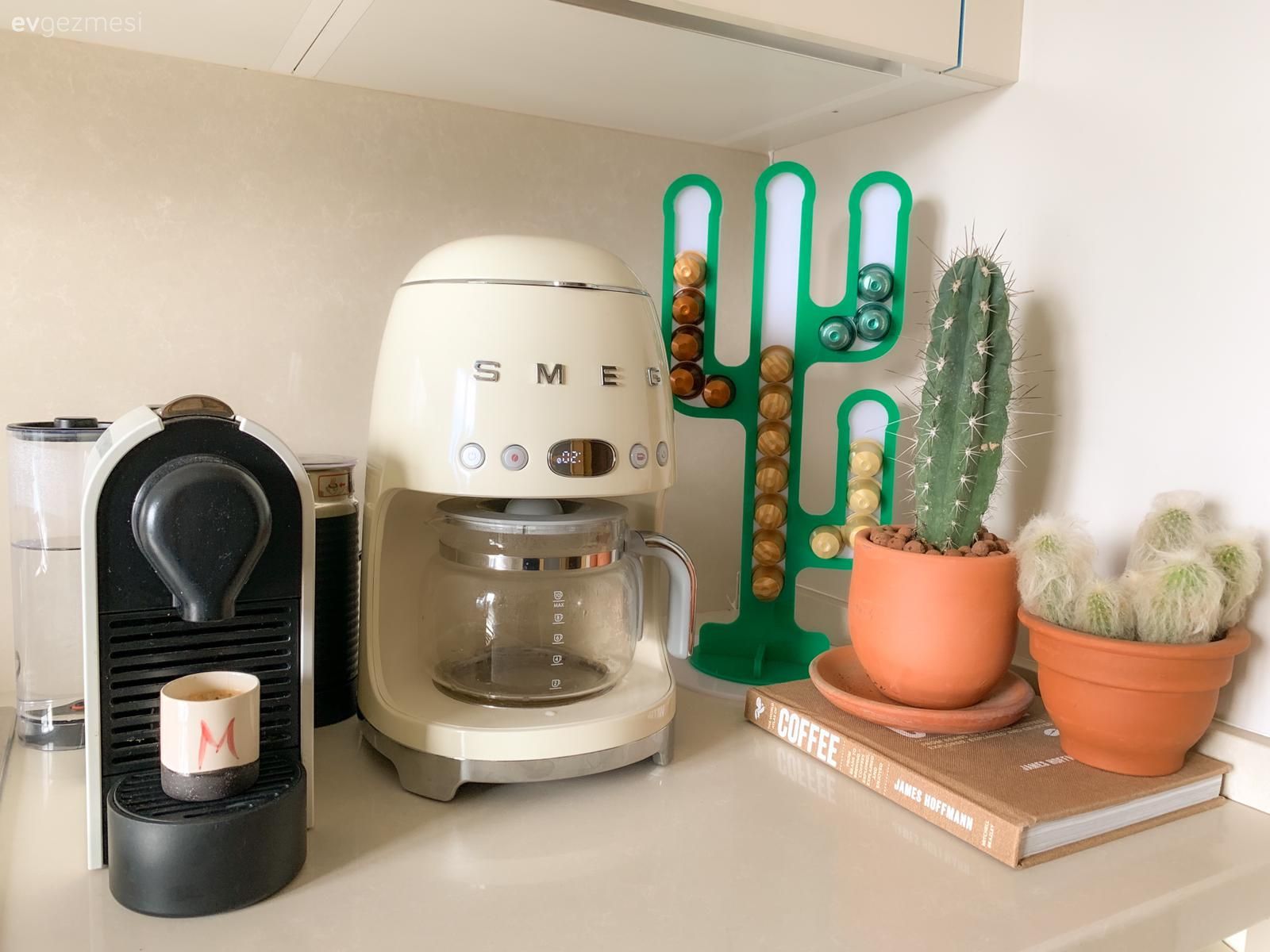 Mutfak aksesuarları, Mutfak, Ev bitkisi