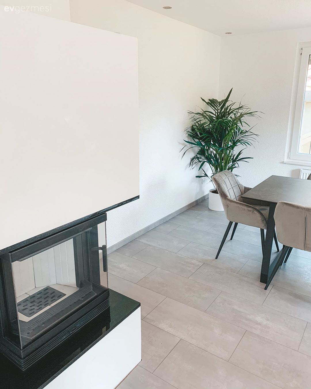 Sandalye, Modern, Bej, Vizon, Siyah, Beyaz, Yemek masası, Şömine, Ev Aksesuar, Ev bitkisi