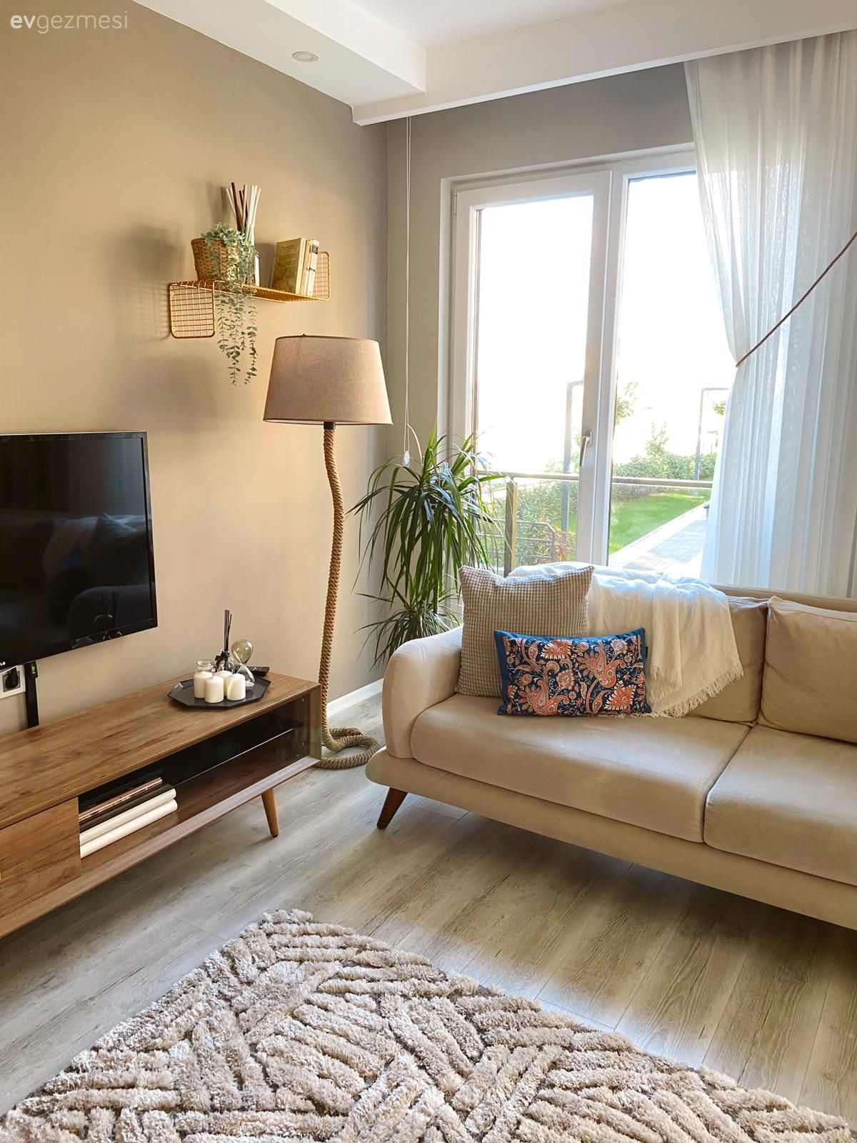 Salon, Krem, Ahşap Mobilya, Kırlent, Ev tekstili, Koltuk takımı, Lambader, Aydınlatma, Ev bitkisi, Halı, Salon halısı