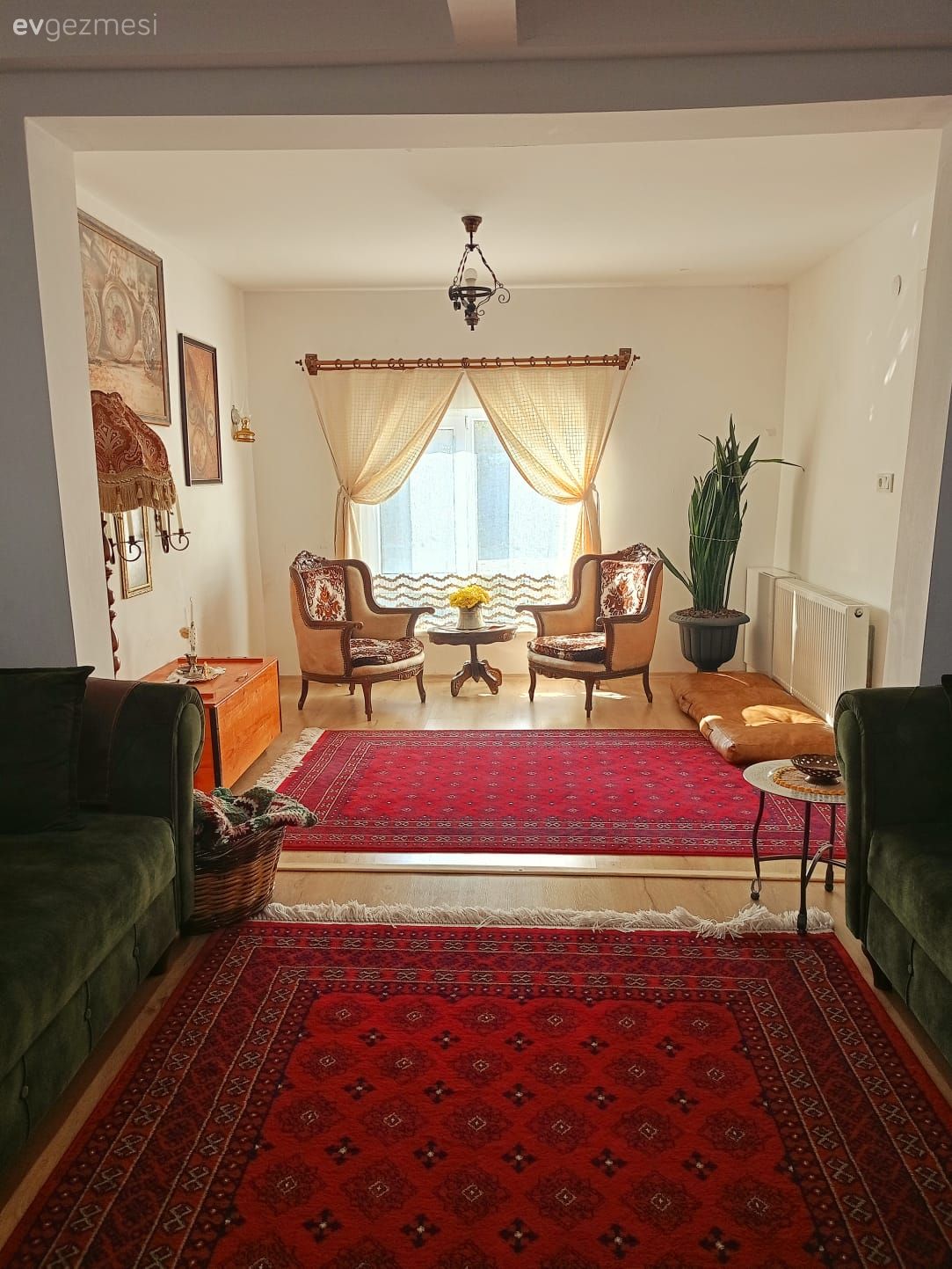 Salon, Rustik, Yeşil, Kırmızı, Kahverengi, Krem, Turuncu, Berjer, Tül perde, Perde, Ev bitkisi, Yan sehpa, Sehpa, Halı, El dokuma halı, Tablo, Duvar dekorasyonu, Sandık