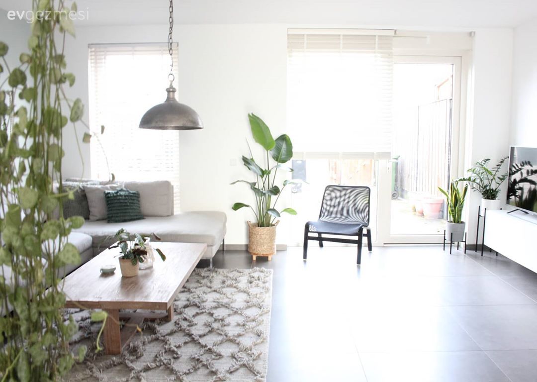 Salon, Bohem Dekorasyon, Modern, Köşe koltuk, Koltuk takımı, Gri, Yeşil, Beyaz, Ahşap Mobilya, Orta sehpa, Sehpa, Avize, Aydınlatma, Salon avizesi, Hasır vazo, Ev bitkisi, Halı, Salon halısı, Açık konsept yaşam alanı, Berjer, Tv ünitesi, Tv ünitesi aksesuarları, Ev Aksesuar, Tül perde, Perde