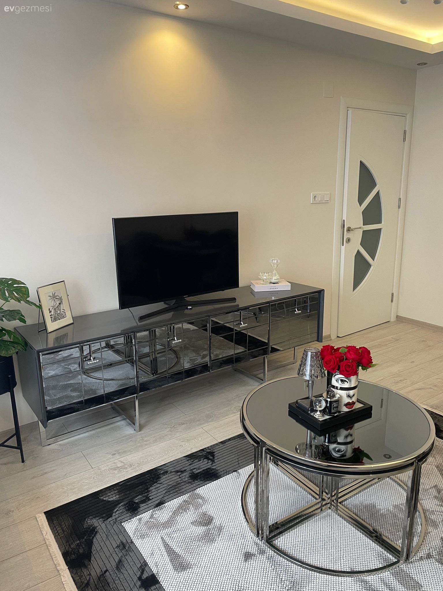 Siyah, Beyaz, Tv ünitesi, Tv ünitesi aksesuarları, Ev Aksesuar, Halı, Salon halısı, Orta sehpa, Sehpa, Led aydınlatma, Aydınlatma, Saksı, Dekoratif Objeler, Parke