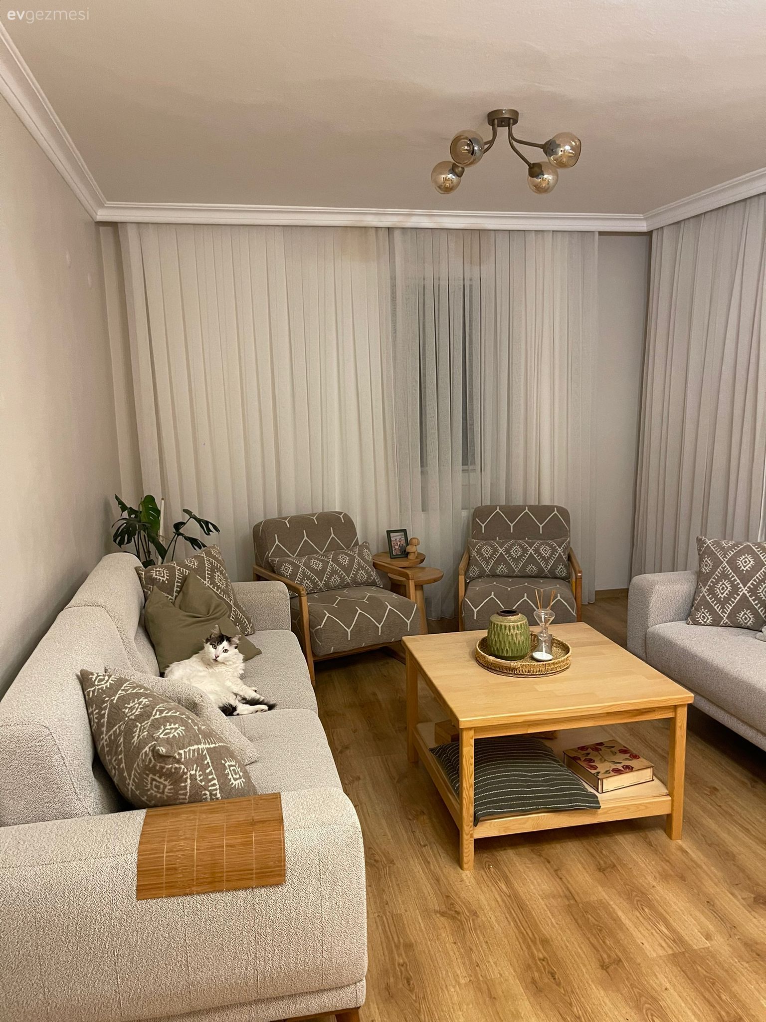 Salon, İskandinav, Gri, Ahşap Mobilya, Sandalye, Yemek masası, Koltuk takımı, Orta sehpa, Sehpa, Parke, Tül perde, Perde