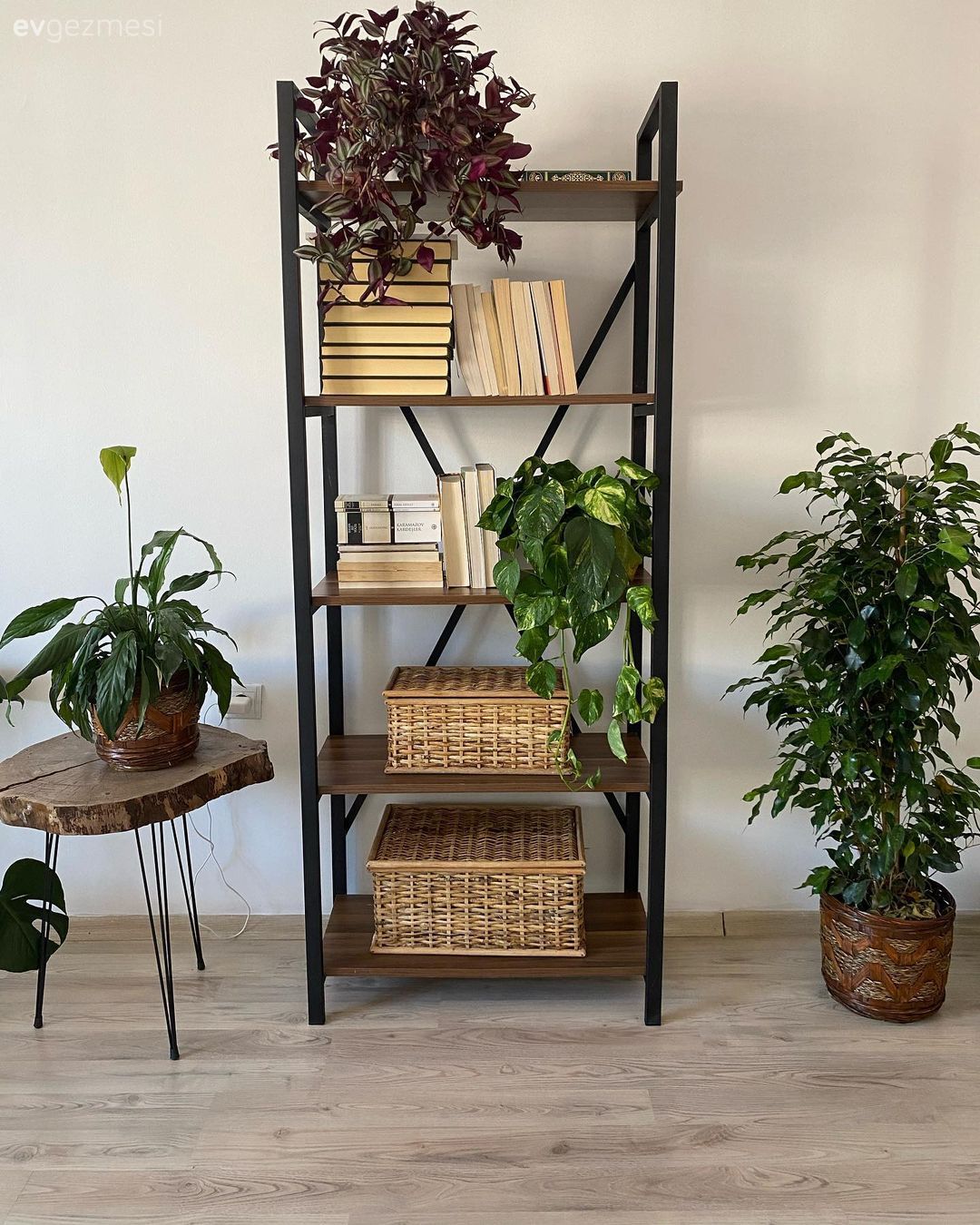 Duvar rafı, Duvar dekorasyonu, Hasır sepet, Ev bitkisi, Yan sehpa, Sehpa, Parke