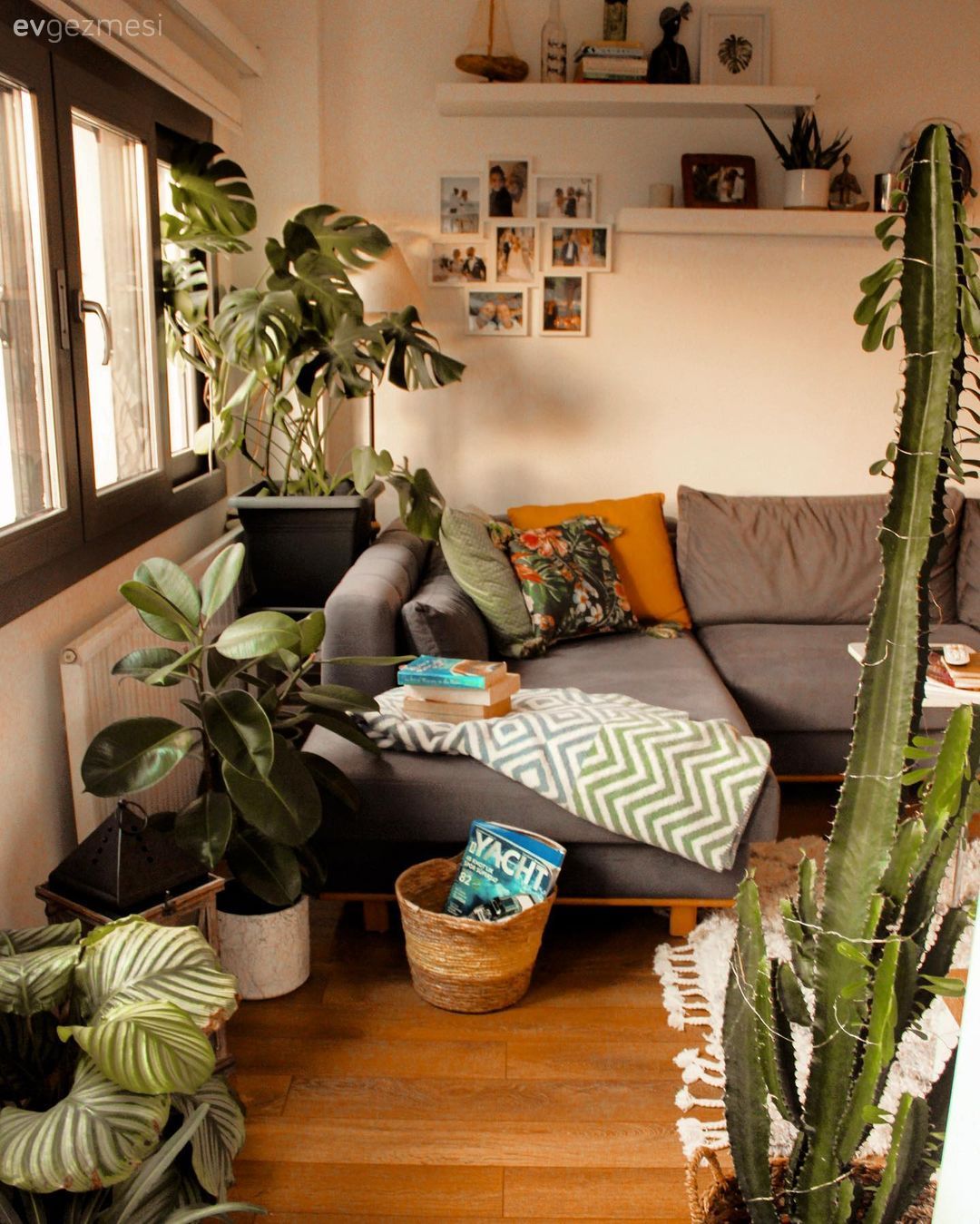 Salon, İskandinav, Gri, Turuncu, Beyaz, Köşe koltuk, Koltuk takımı, Kırlent, Ev tekstili, Ev bitkisi, Halı, Krem, Duvar rafı, Duvar dekorasyonu