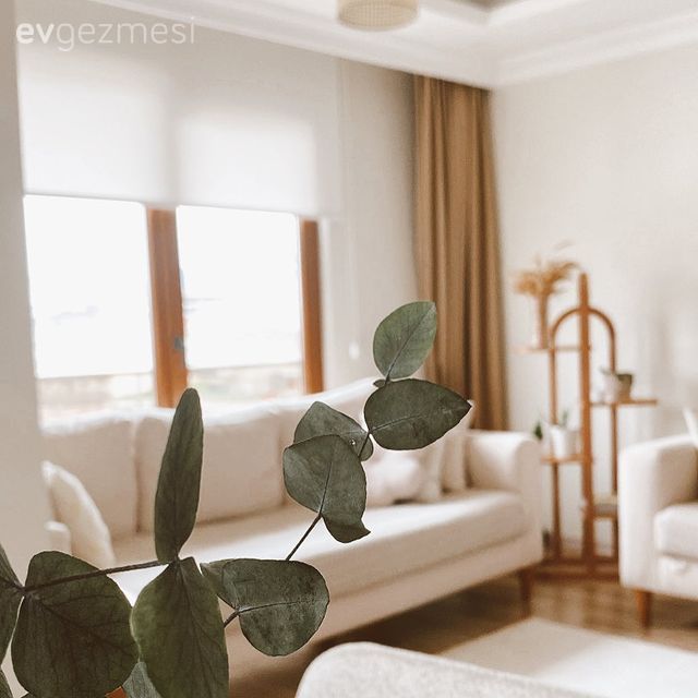 L Tipi Bu Salonun Her İki Yanı da Oldukça Ferah