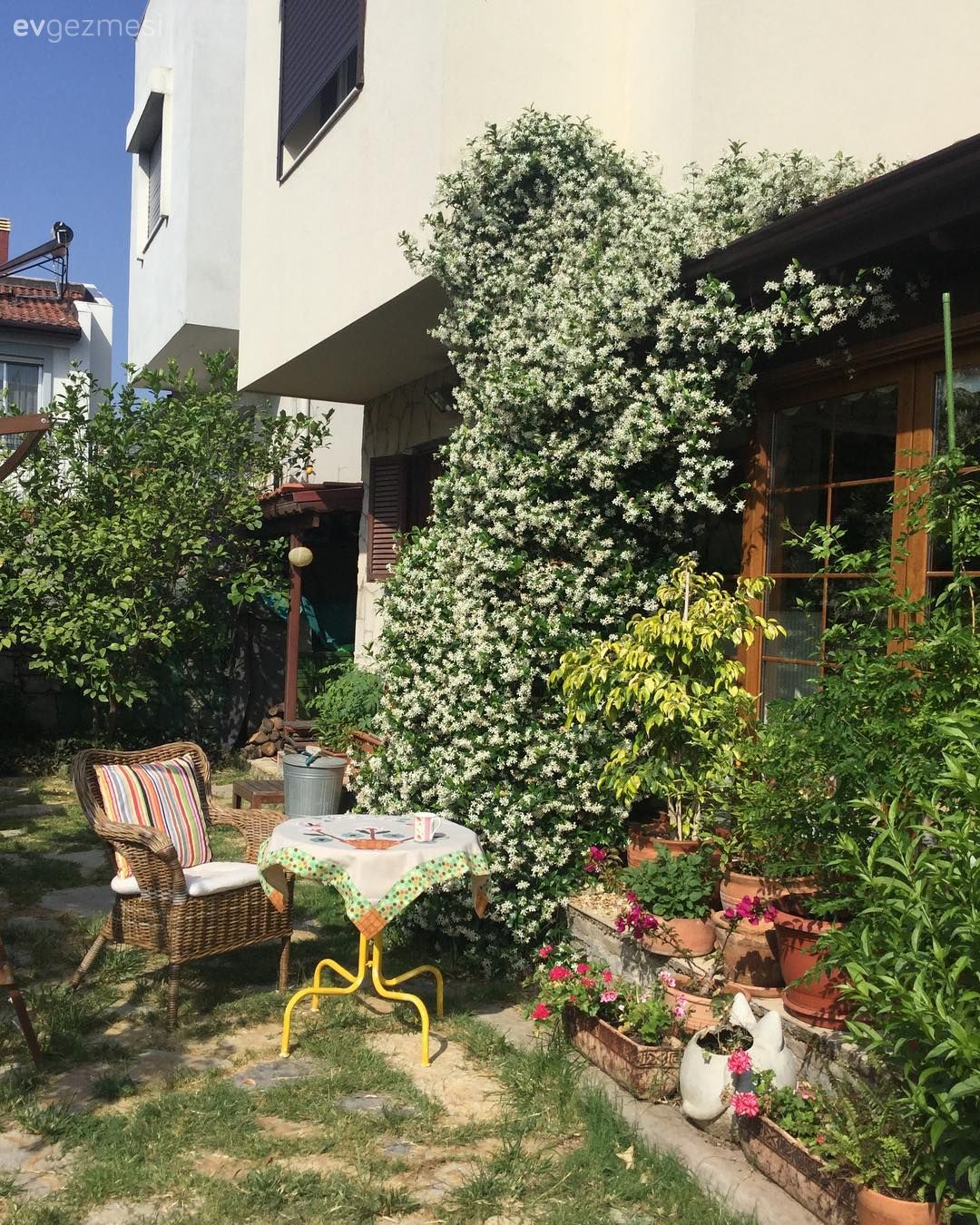 Bahçe, Bahçe masası, Sandalye, Çiçekler