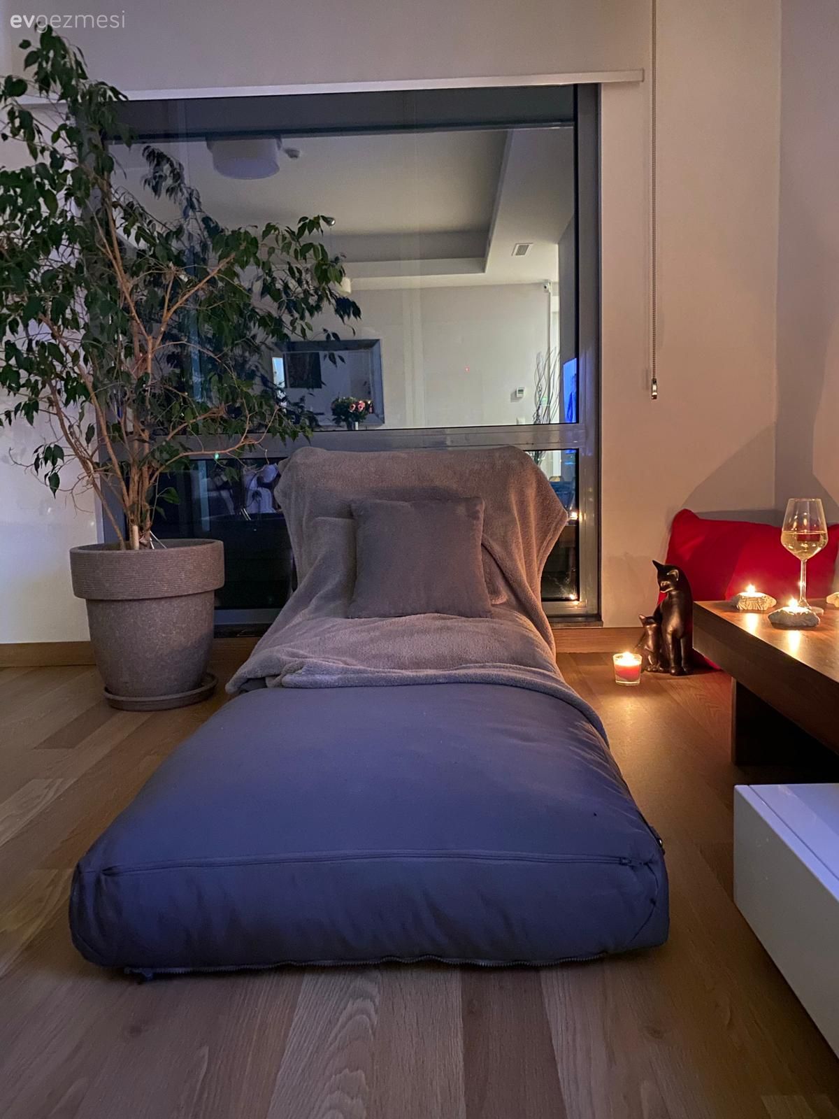 Salon, Saksı, Ev bitkisi, Parke