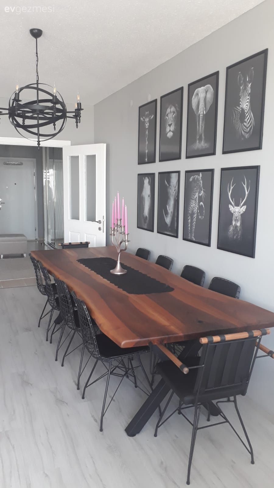 Kendine Özgü Bu  Ankara Evi, Doğayı Vahşi Haliyle Seviyor