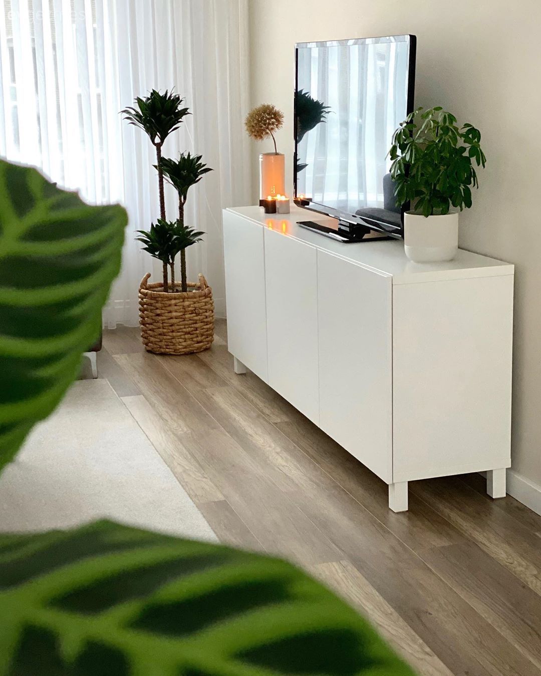 Tv ünitesi, Beyaz, Ev bitkisi, Hasır, Saksı, Tül perde, Perde