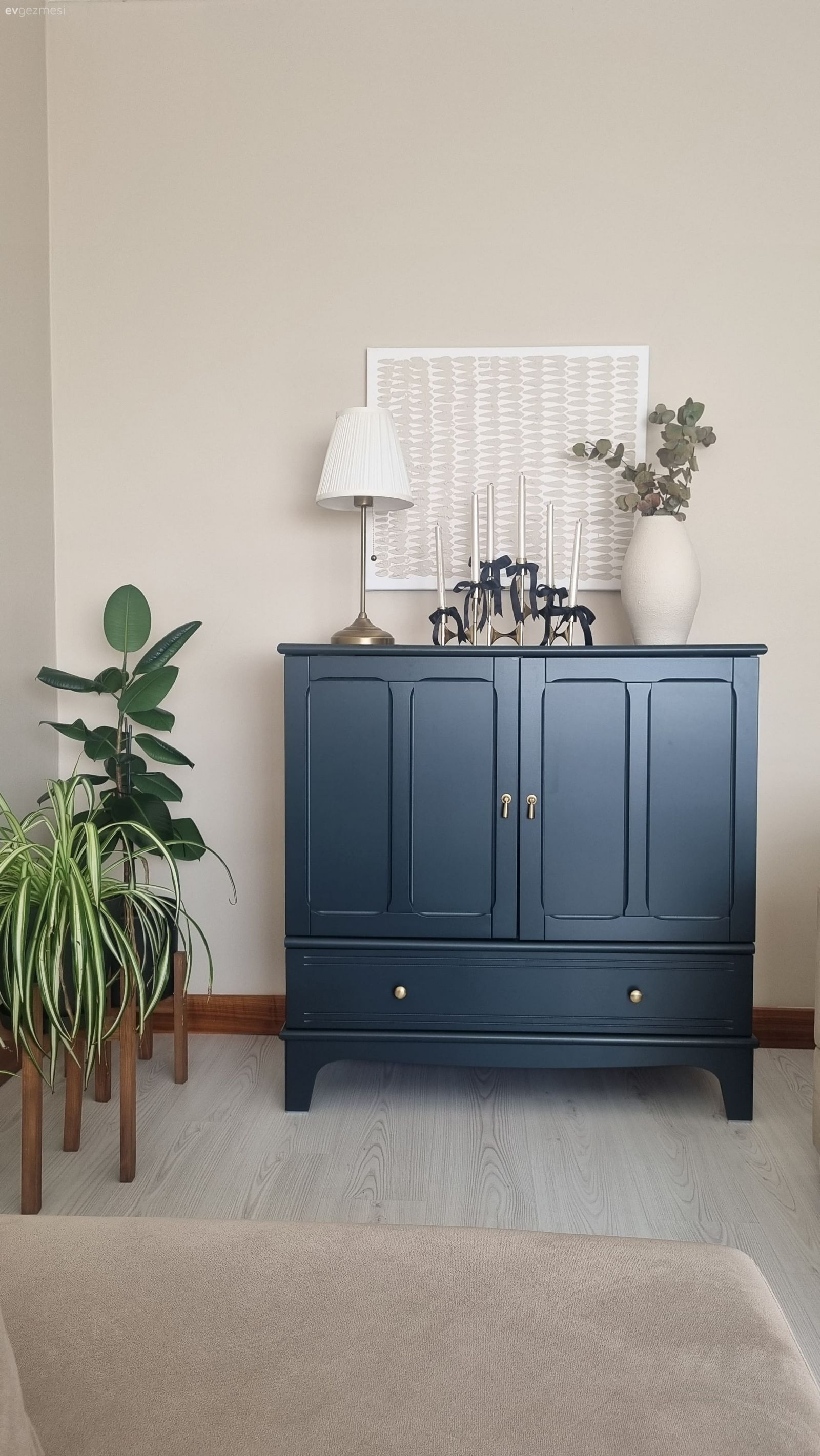 Bu Ankara Evinde Bitkiler Fazlaca Söz Sahibi