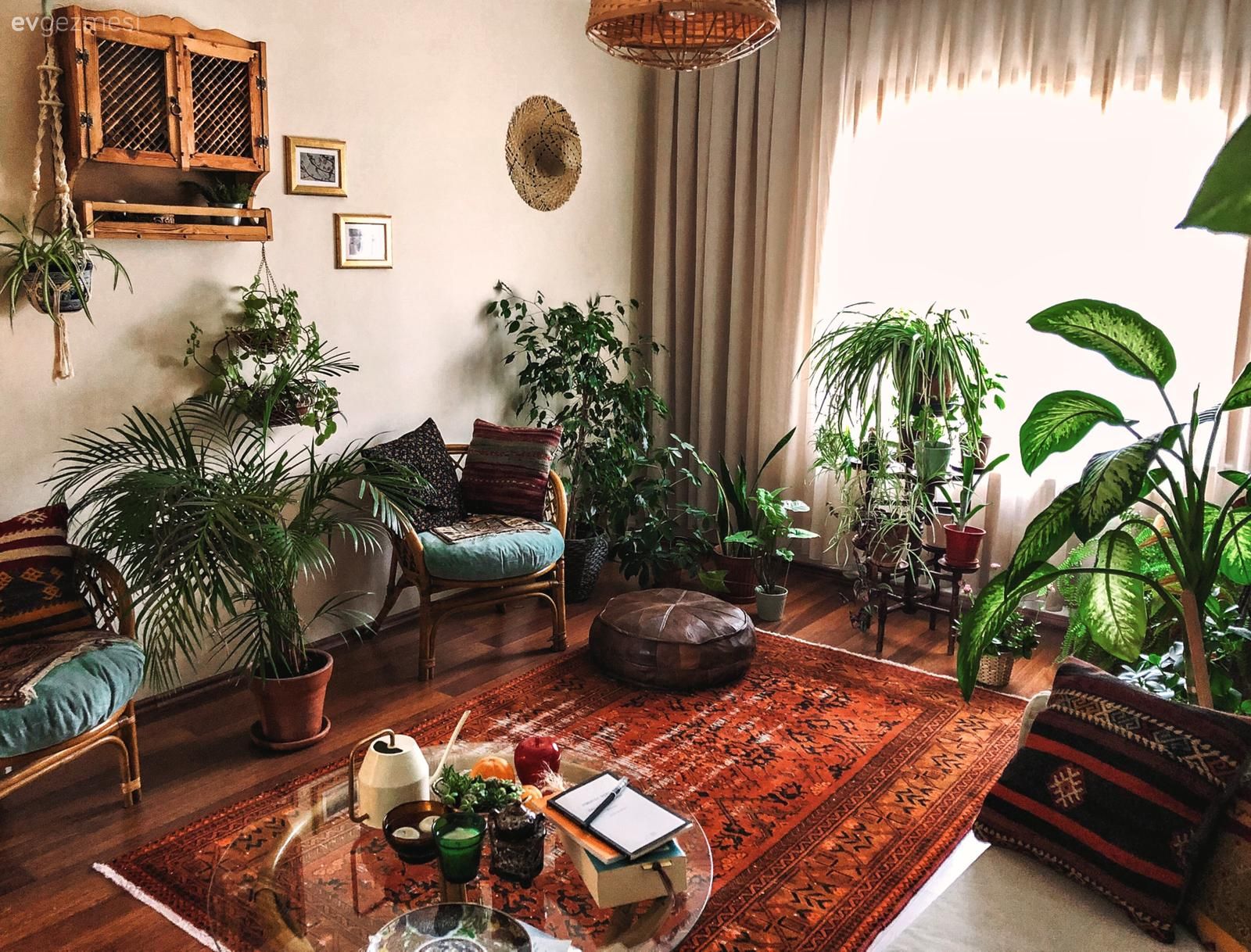 Salon, Ev bitkisi, Yeşil, Kırmızı, Halı, Salon halısı, Fon perde, Perde, Tül perde, Puf, Duvar dekorasyonu, Sandalye, Berjer