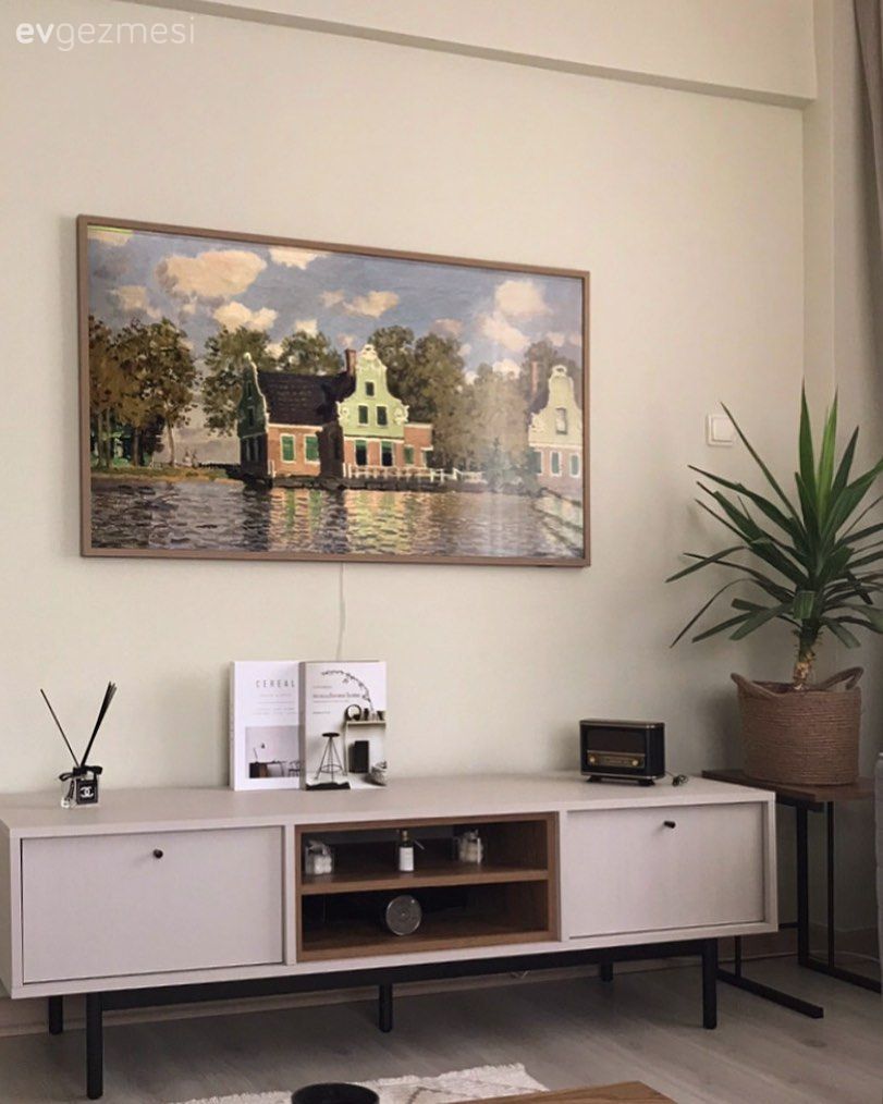 Tv ünitesi, Tv ünitesi aksesuarları, Ev Aksesuar, Saksı, Ev bitkisi