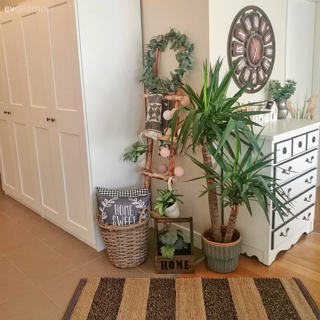 Beyaz, Dolap, Konsol, Konsol üzeri dekoratif objeleri, Duvar saati, Duvar dekorasyonu, Ev bitkisi, Saksı, Halı, Krem, Gri