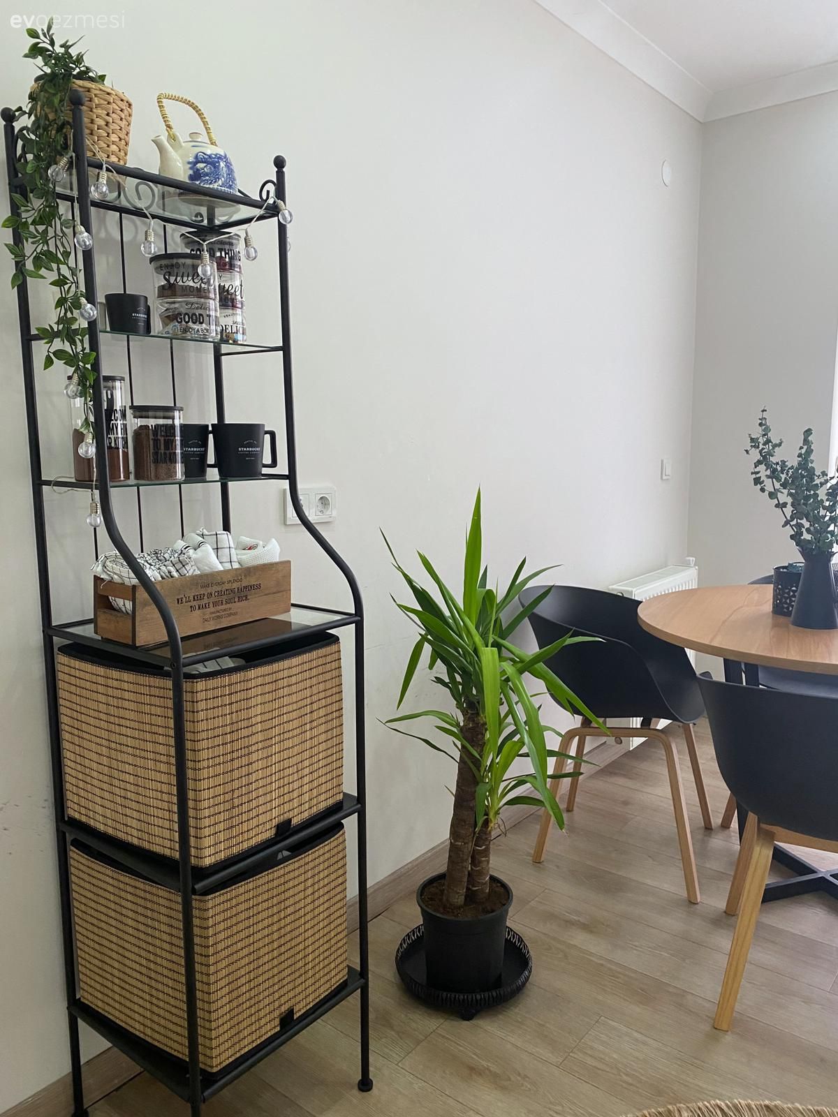 Mutfak rafı, Mutfak, Beyaz, Siyah, Ev bitkisi, Sandalye, Mutfak masası, Parke