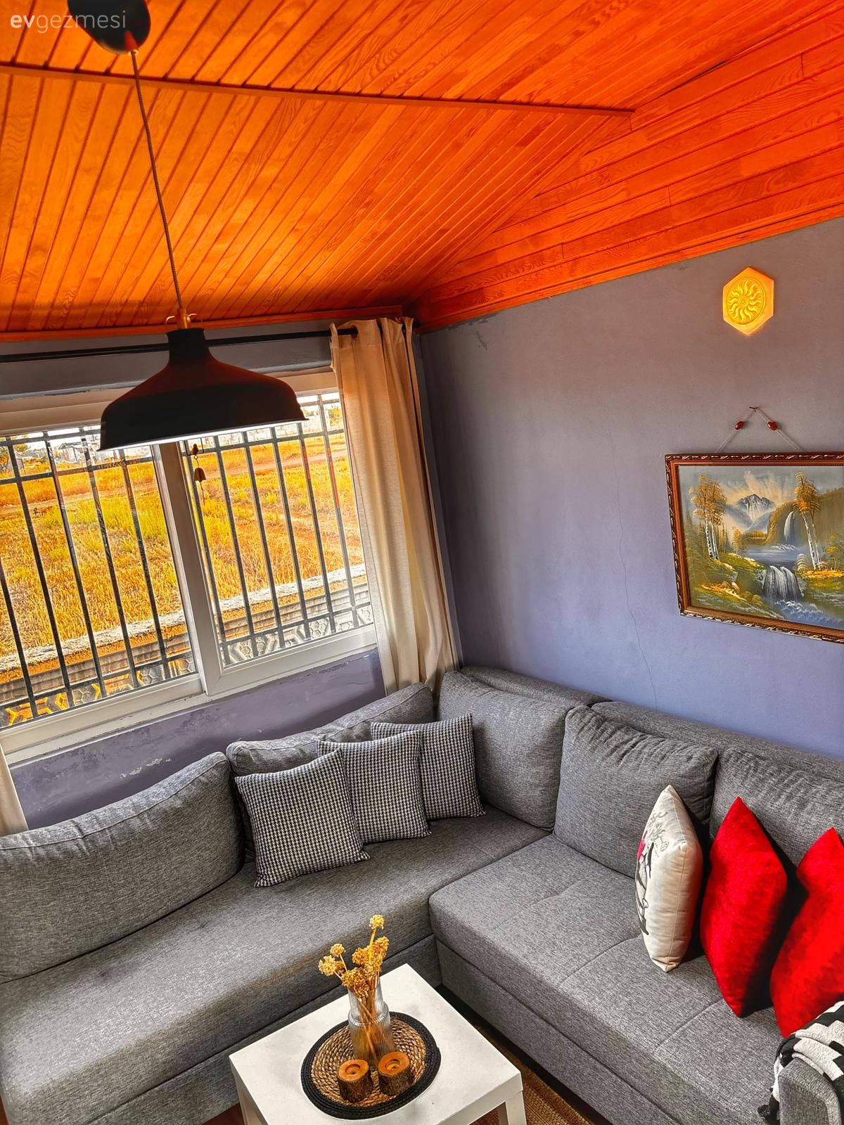 Bahçeye Yapılan Bu Tek Odalı Ev Tatillerde Kaçış Mekânı