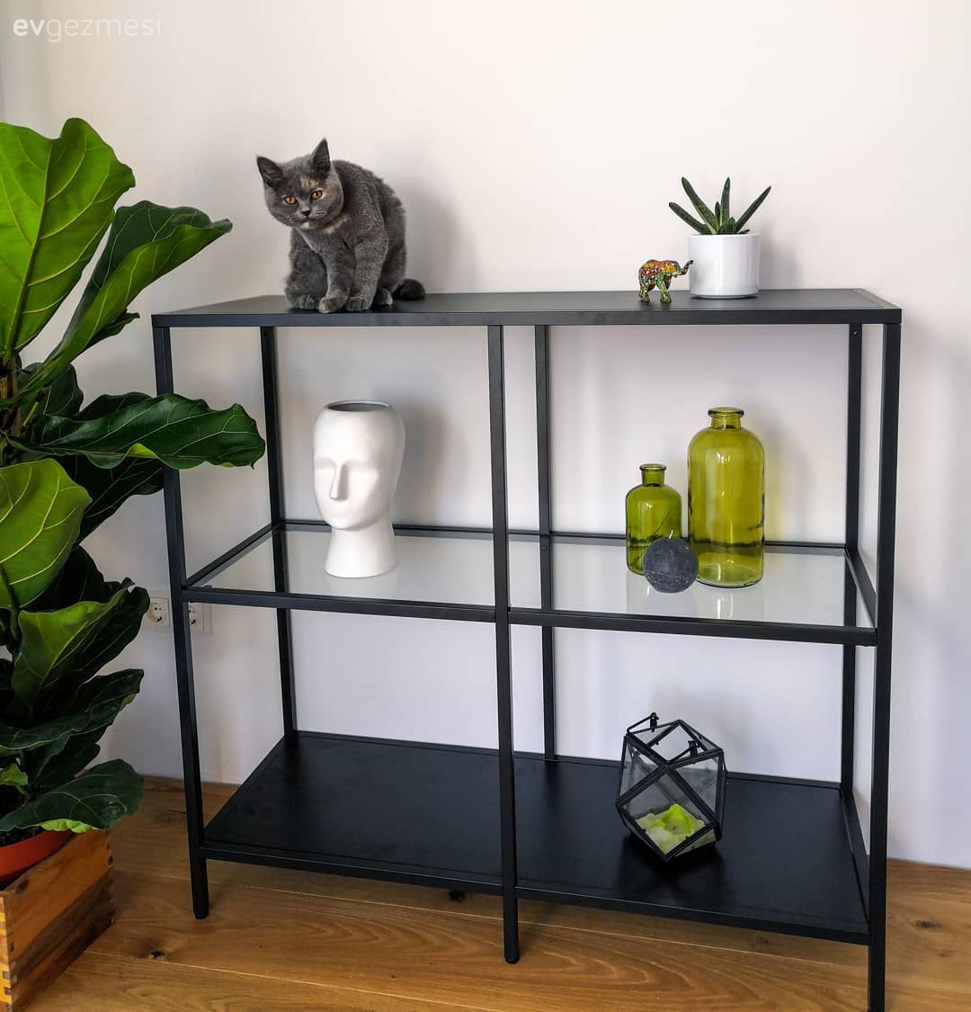 Kitaplık, Siyah, Kitaplık dekoratif objeleri, Ev Aksesuar, Ev bitkisi, Açık raf, Duvar rafı