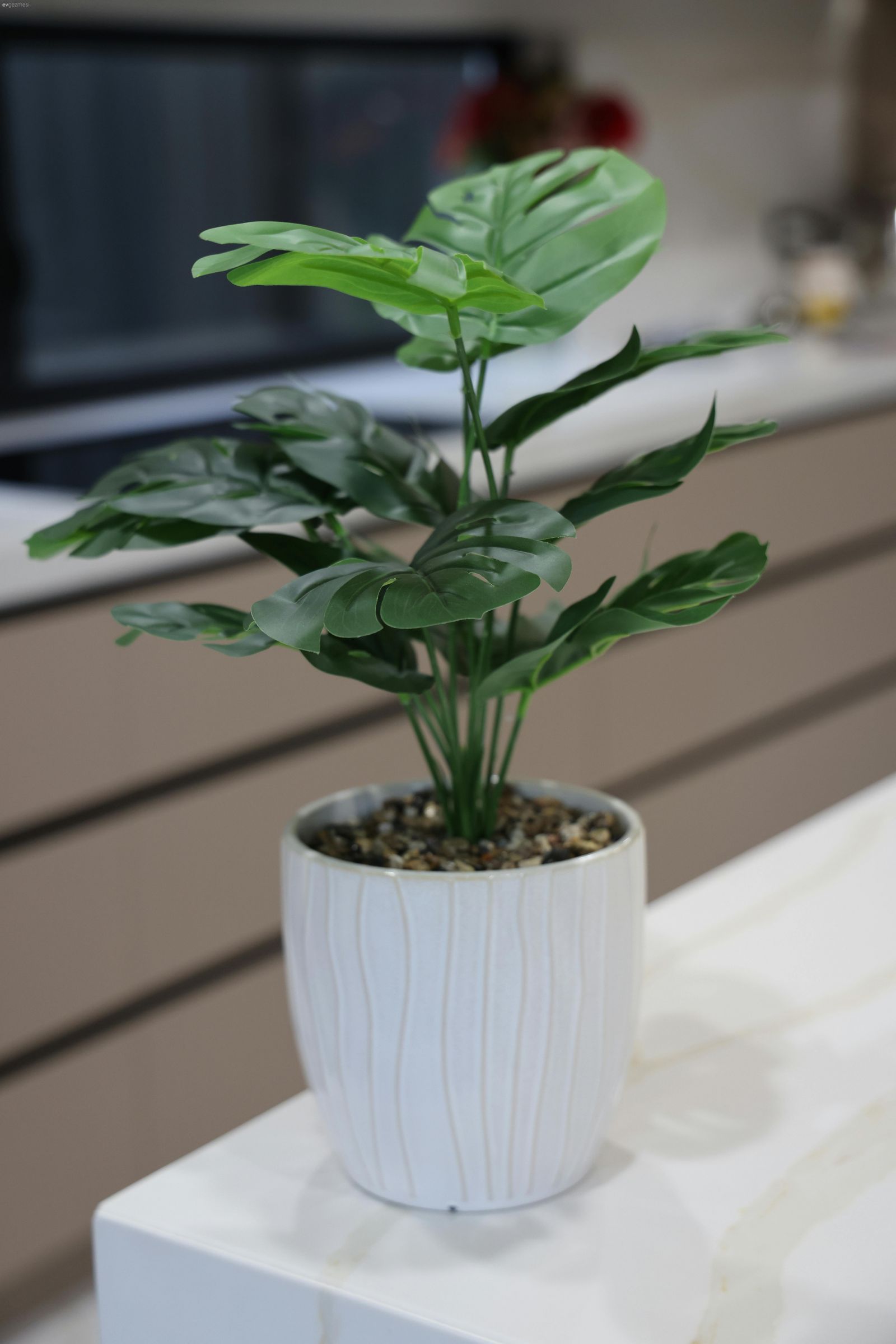 Satın Aldıktan Sonra Pişman Eden Dekorasyon Ürünleri