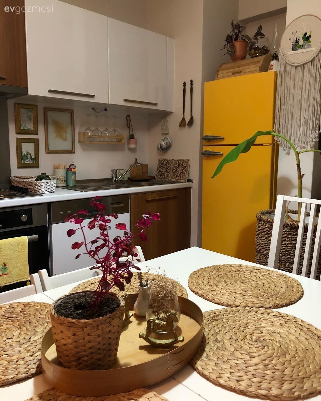 Mutfak, Amerikan Mutfak, Beyaz, Kahverengi, Mutfak masası, Sandalye, Mutfak tezgahı, Mutfak tezgah arası, Ev bitkisi, Mutfak aksesuarları, Renkli buzdolabı, Mutfak halısı, Dolap, Hasır sepet, Supla, Sarı