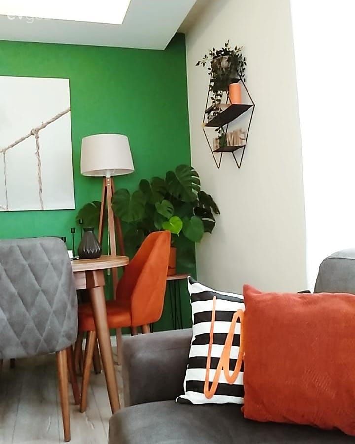 Gri, Turuncu, Beyaz, Yeşil duvar, Duvar rafı, Duvar dekorasyonu, Kırlent, Ev tekstili, Tablo, Ev bitkisi, Sandalye, Yemek masası